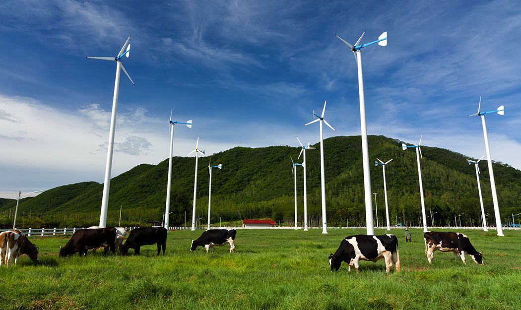 Windmill site preparation service