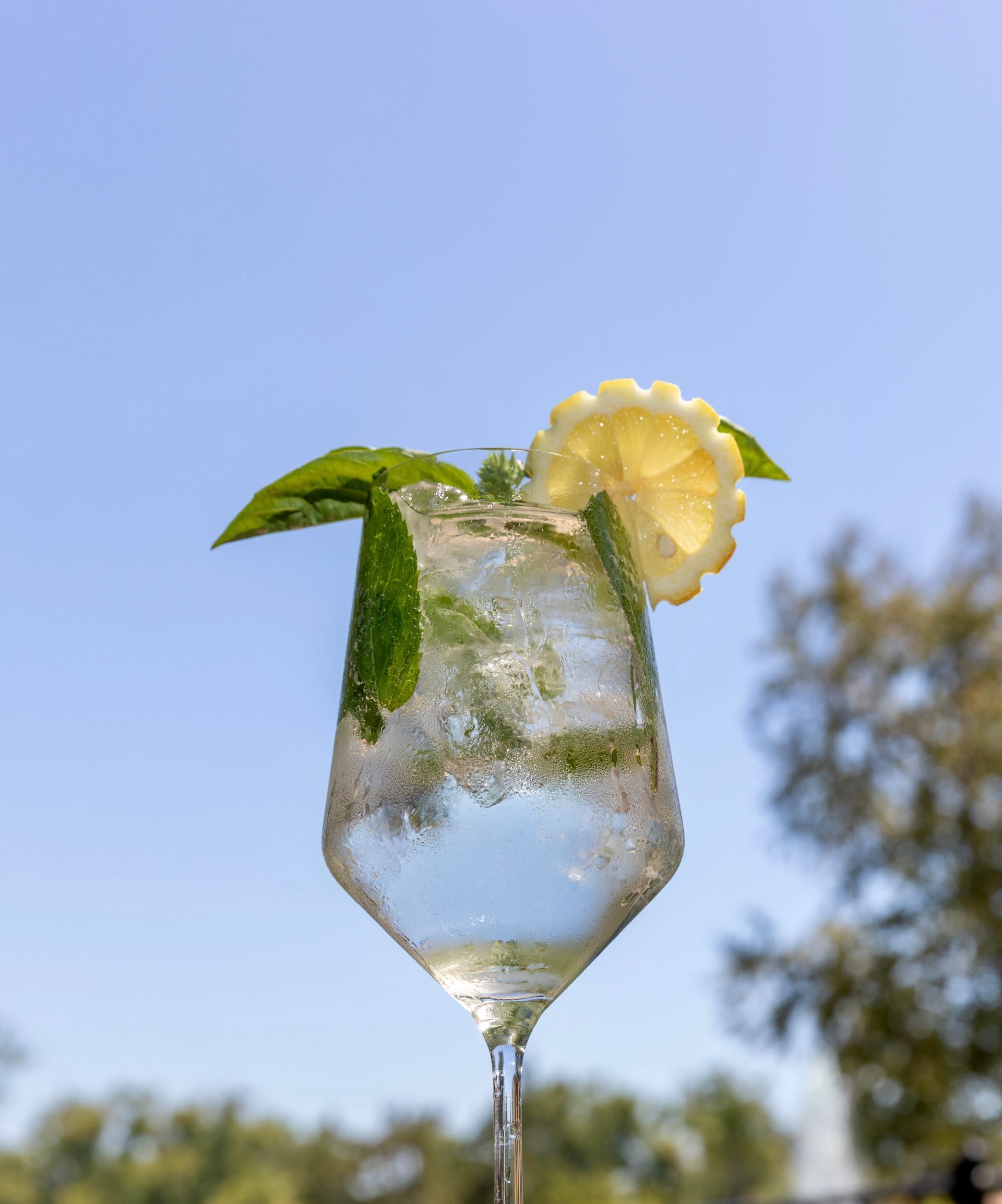 Clear cocktail in a stemmed glass with mint and pineapple garnish against a blue sky