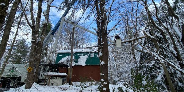 a house with a green roof is surrounded by snow covered trees .