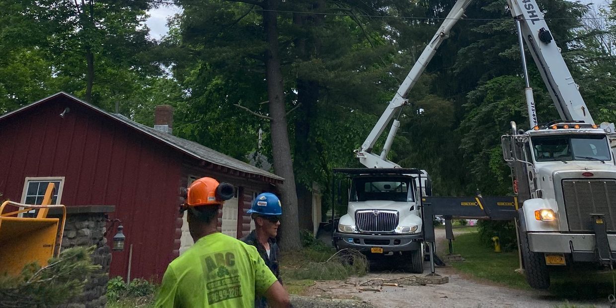 a group of men are standing in front of a truck that is cutting a tree .