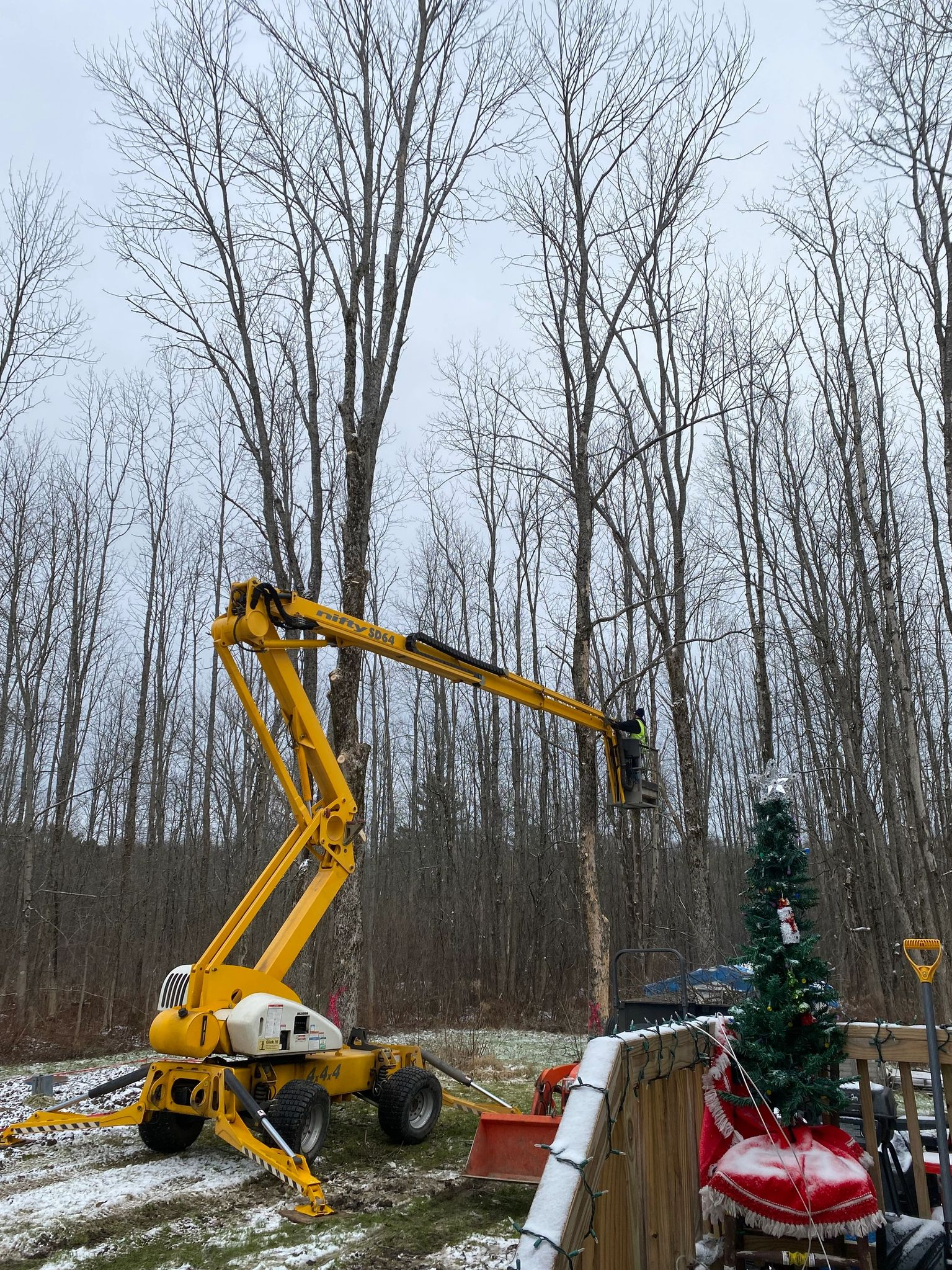 a yellow crane is cutting a tree in the woods .
