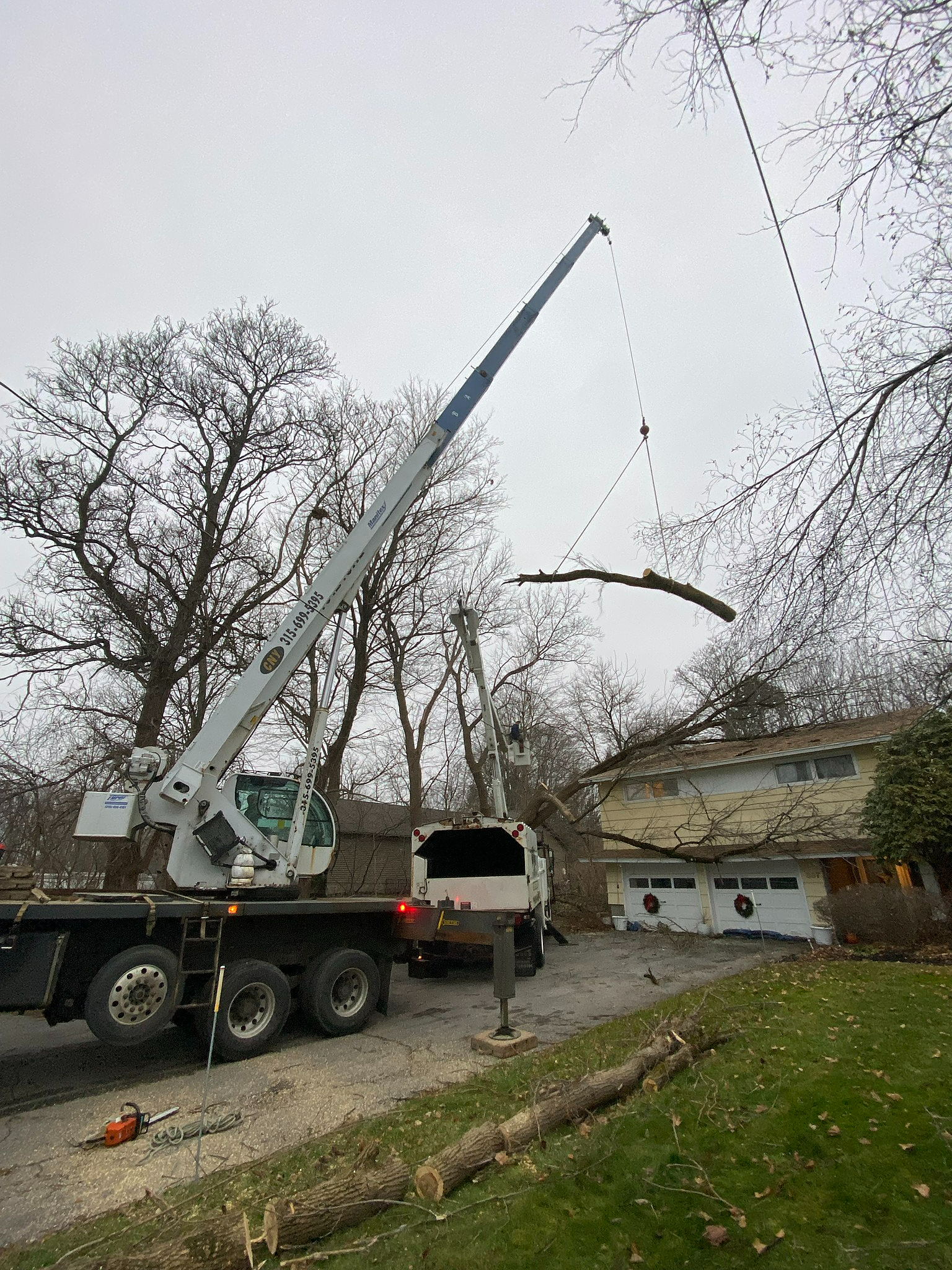 a crane is cutting down a tree in front of a house .