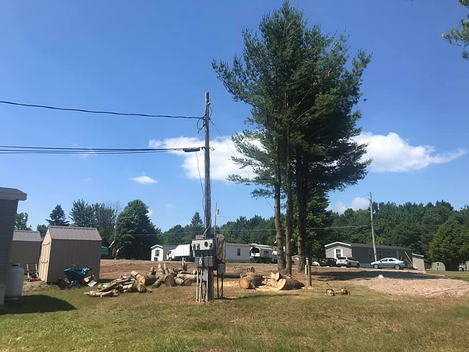 there are a lot of trees in the middle of a field .