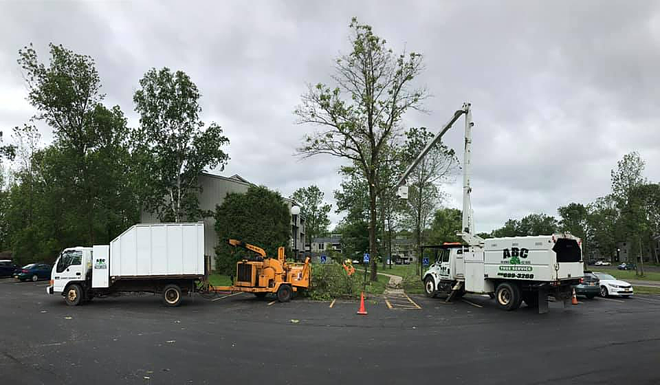 two trucks are parked next to each other in a parking lot .