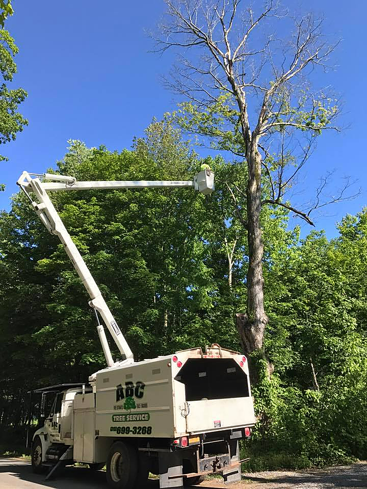 a white truck with a crane on the back is cutting a tree .