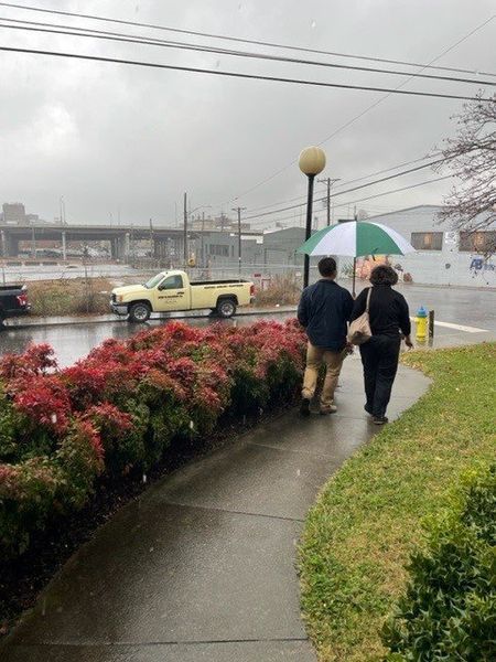 Two people walk under a green and white umbrella on a wet sidewalk past red bushes. A yellow truck is parked nearby.
