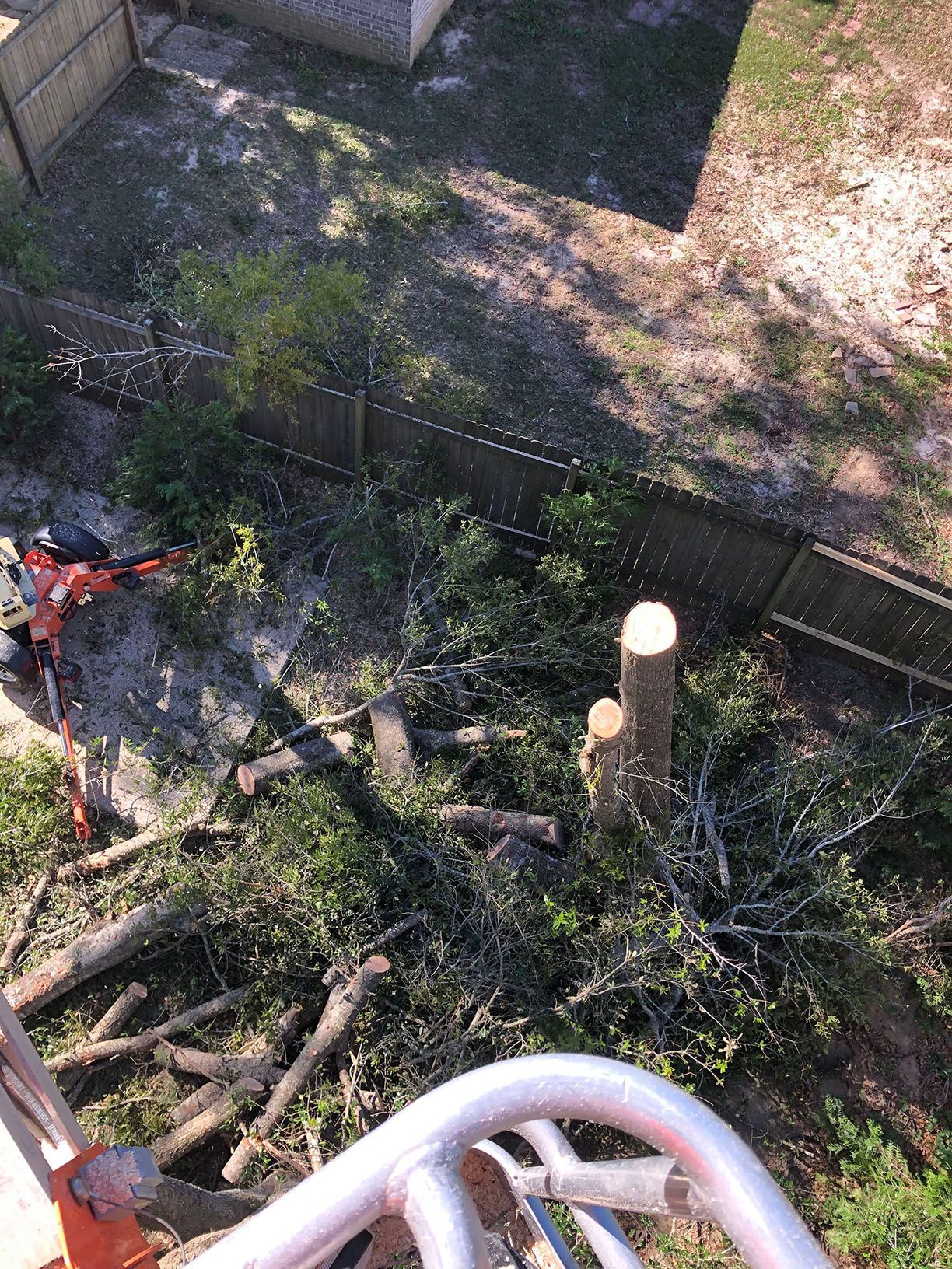 An aerial view of a tree being cut down in a backyard.