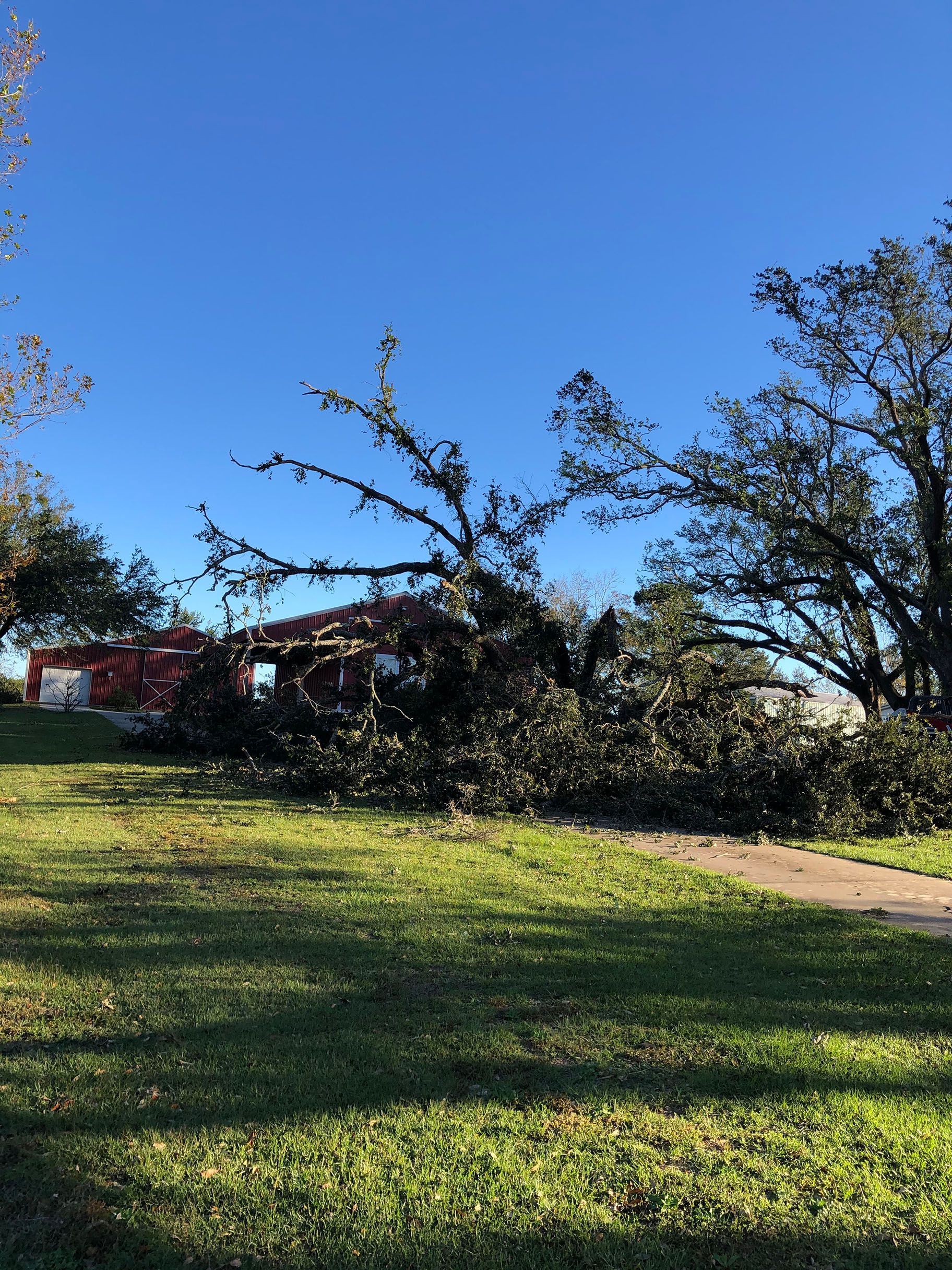 A house with a fallen tree in front of it.