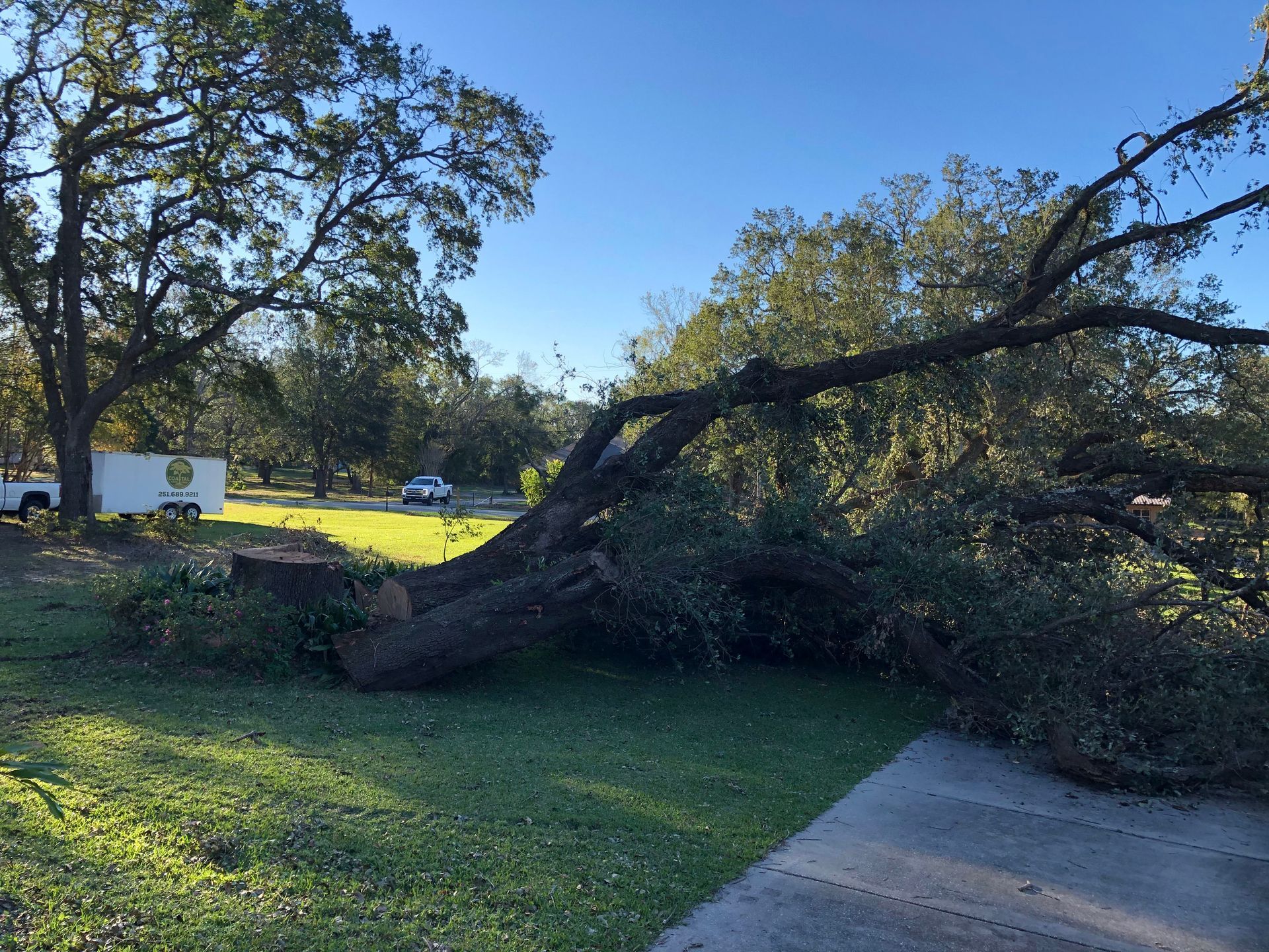 A large tree branch is laying on the ground in a yard.