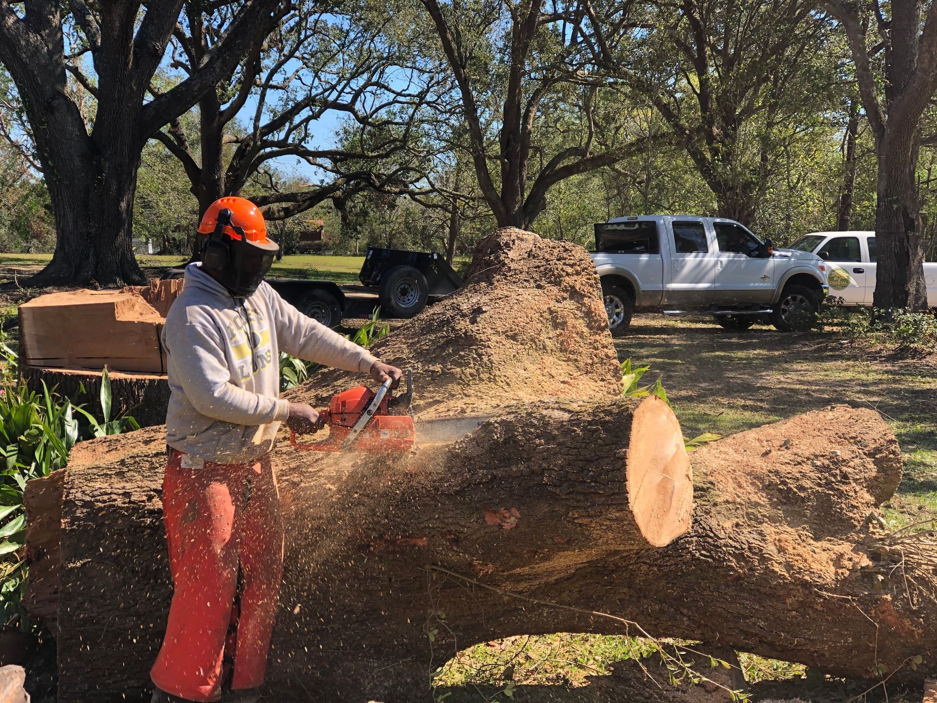 A man is cutting a large log with a chainsaw.