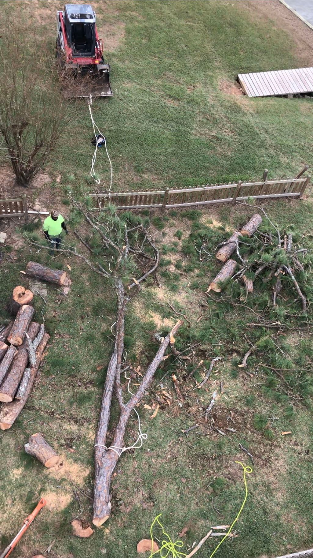 An aerial view of a tree being cut down in a yard.