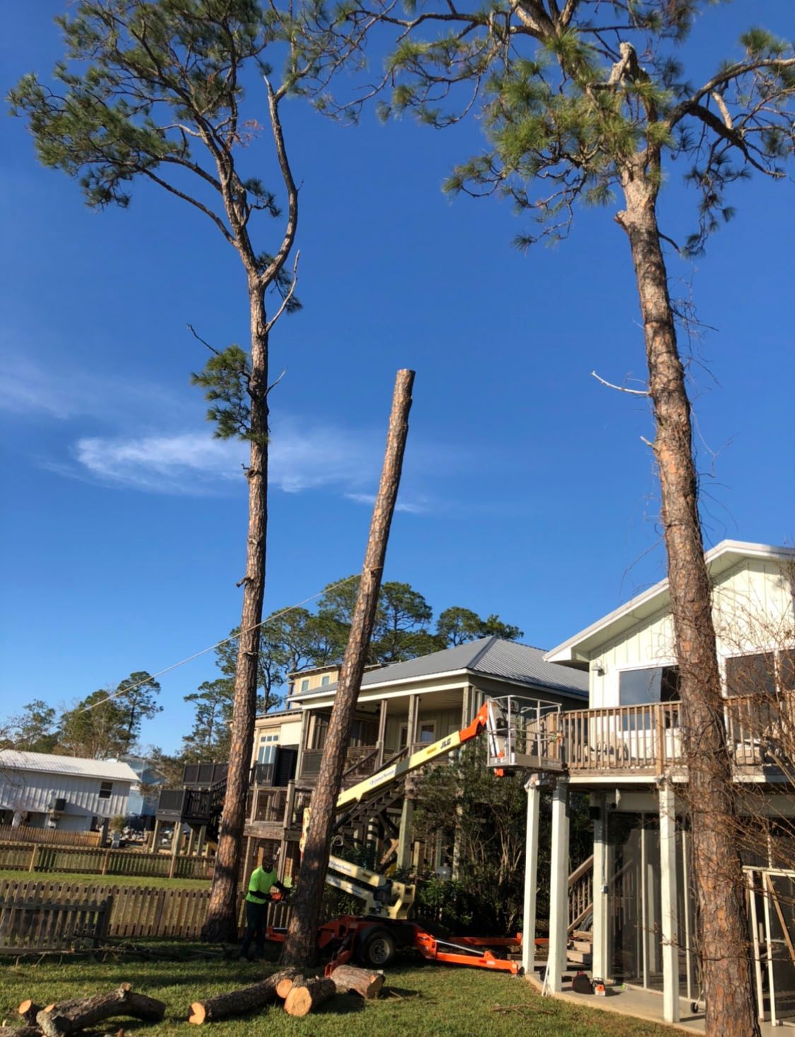 A tree is being cut down in front of a house.