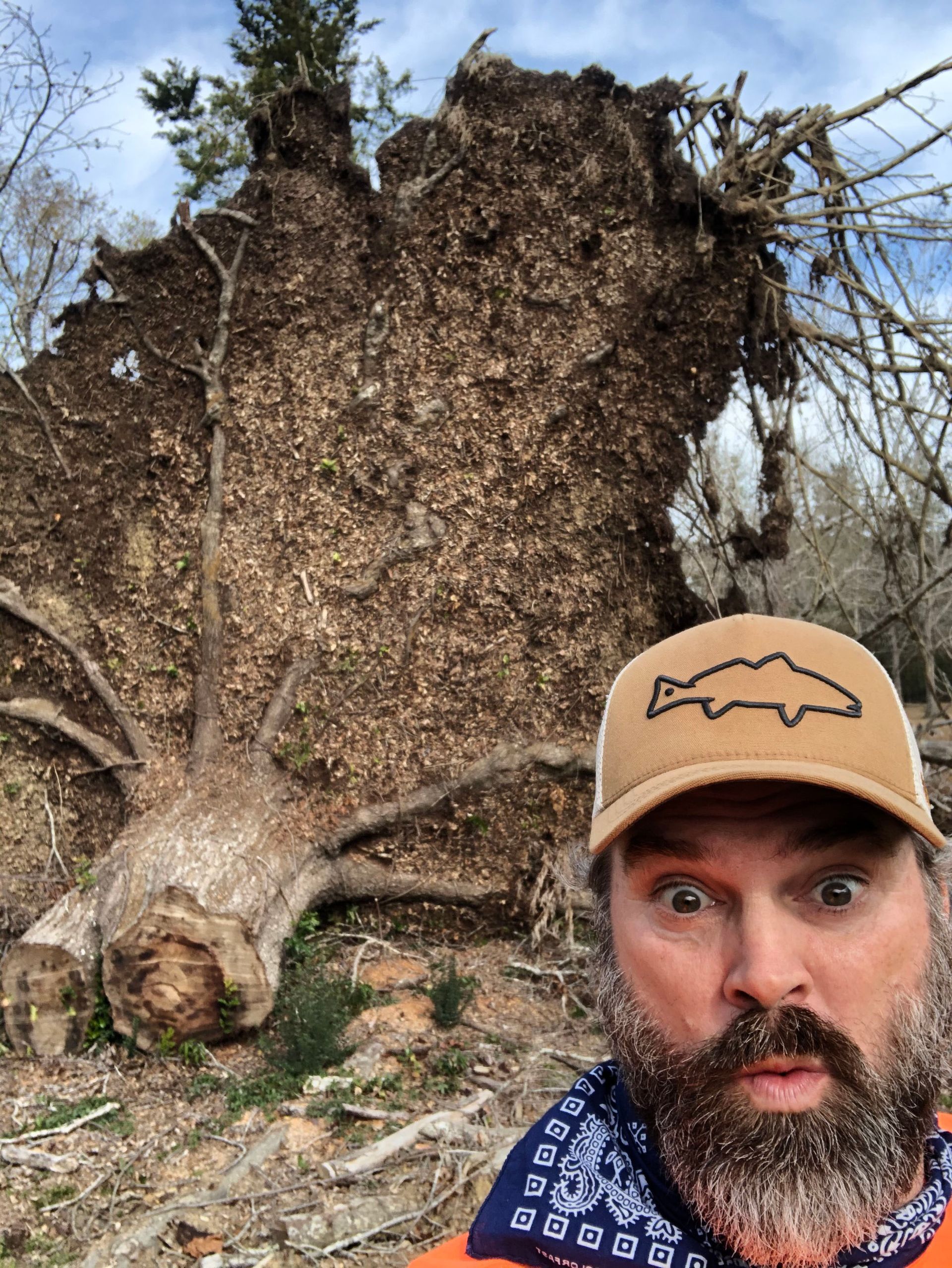 A man with a beard is standing in front of a fallen tree.