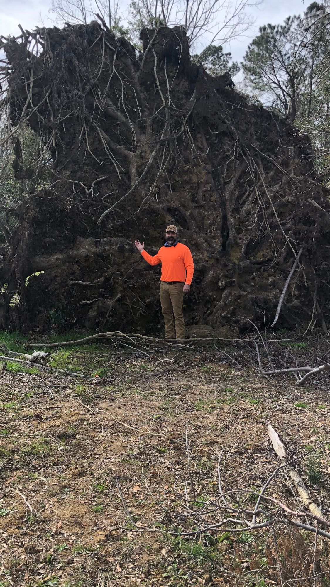A man in an orange shirt is standing in front of a pile of fallen trees.