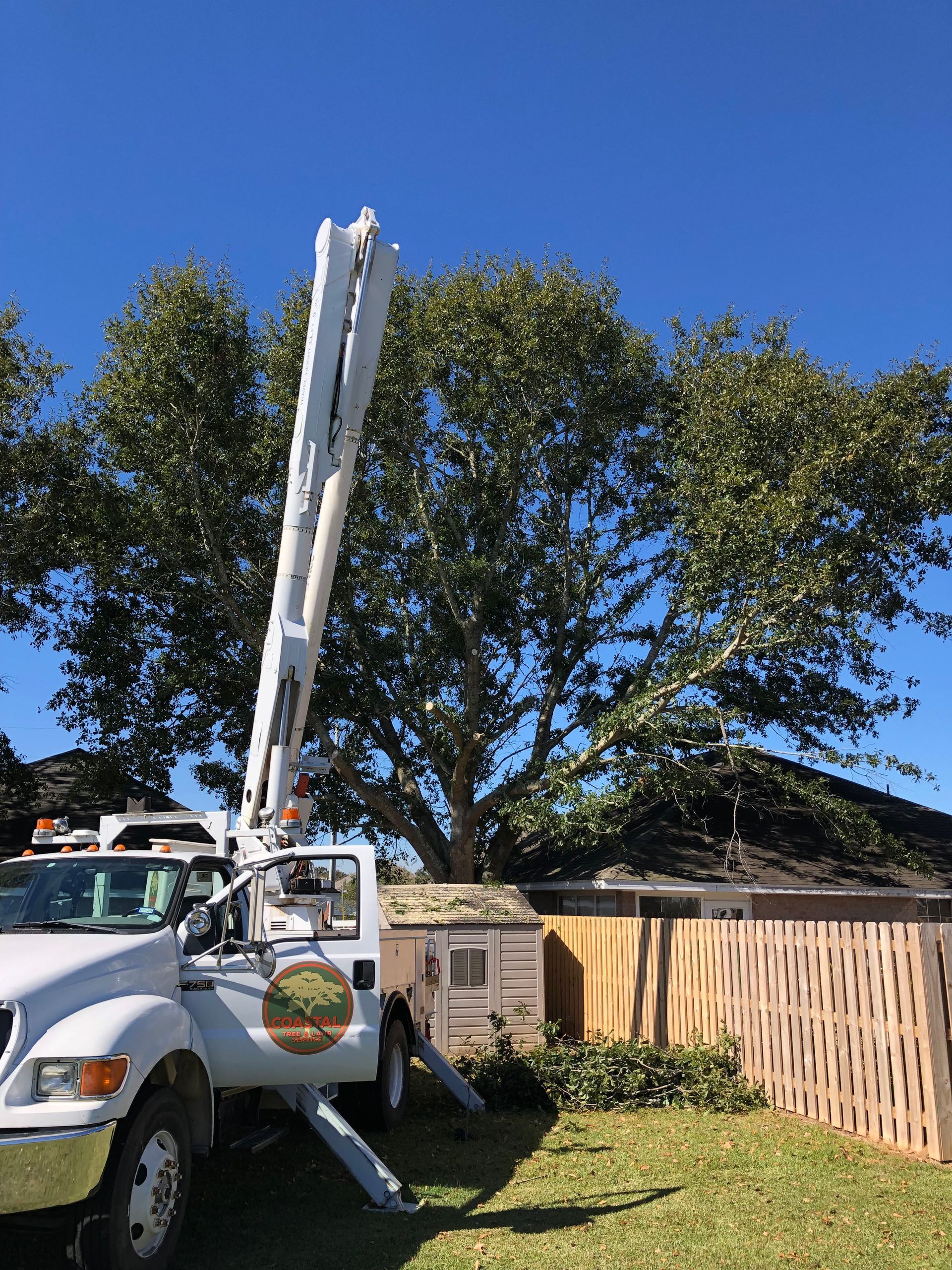 A white truck with a crane attached to it is parked in front of a tree.