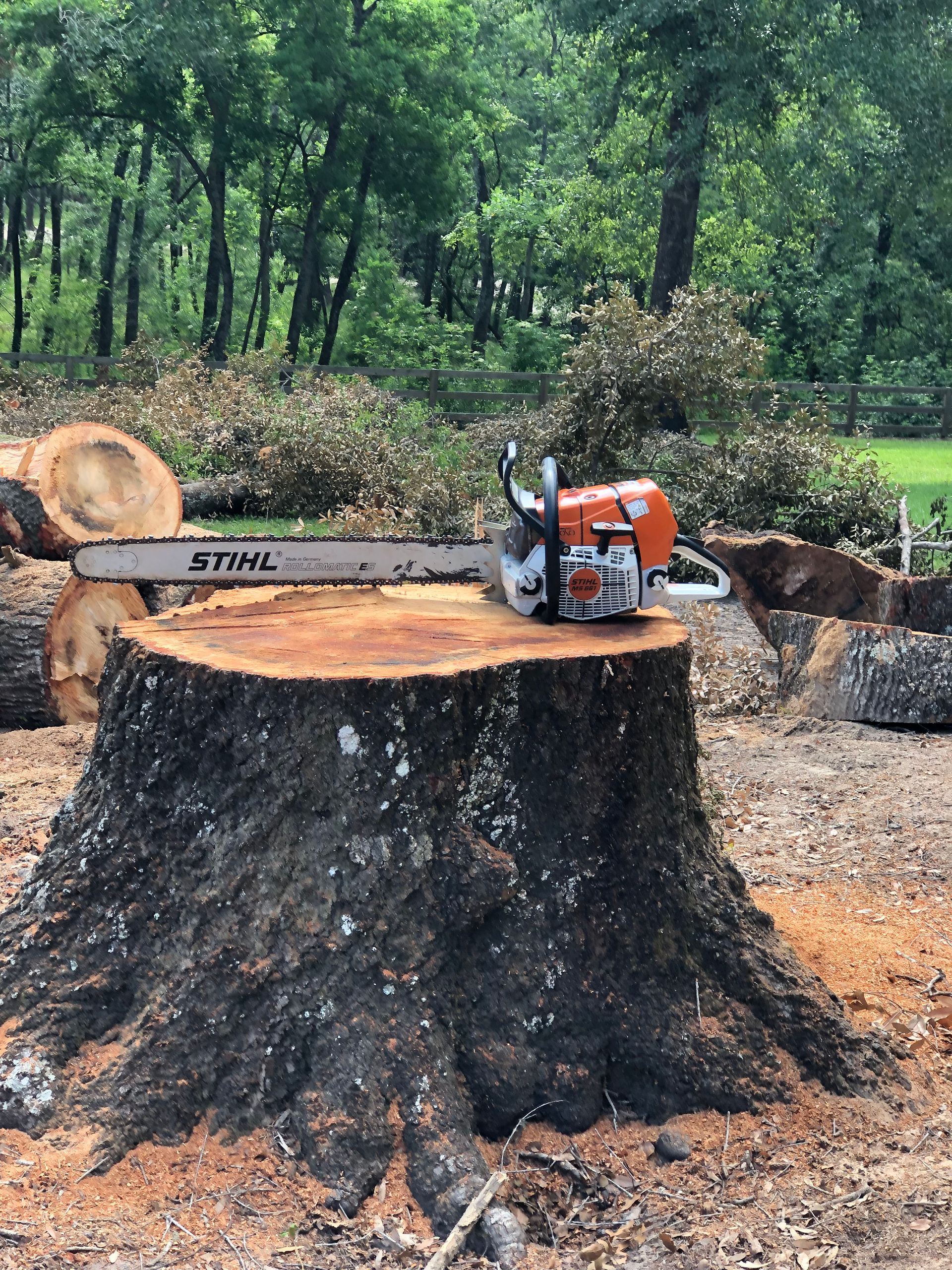 A chainsaw is sitting on top of a tree stump.