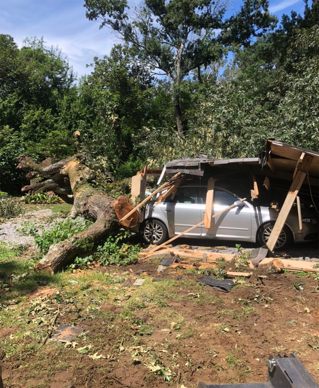 A car that has been damaged by a tree.
