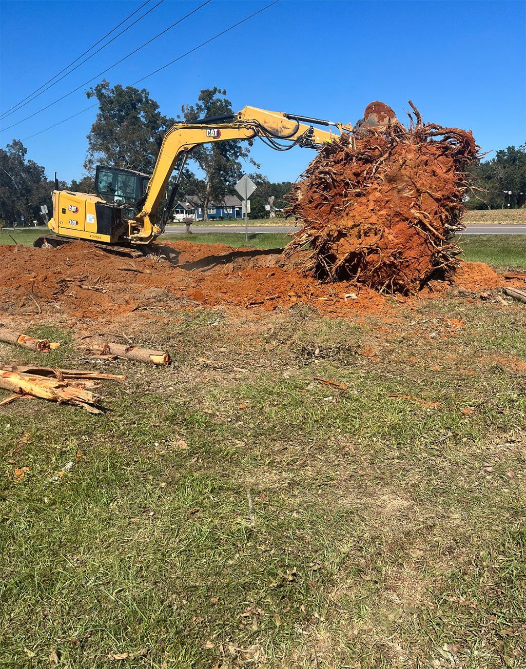 A yellow excavator is cutting down a tree in a field.