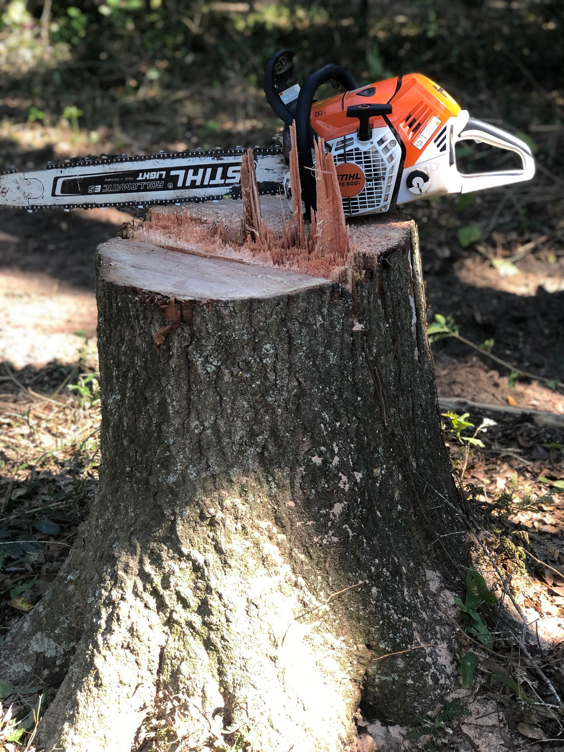 A chainsaw is sitting on top of a tree stump.