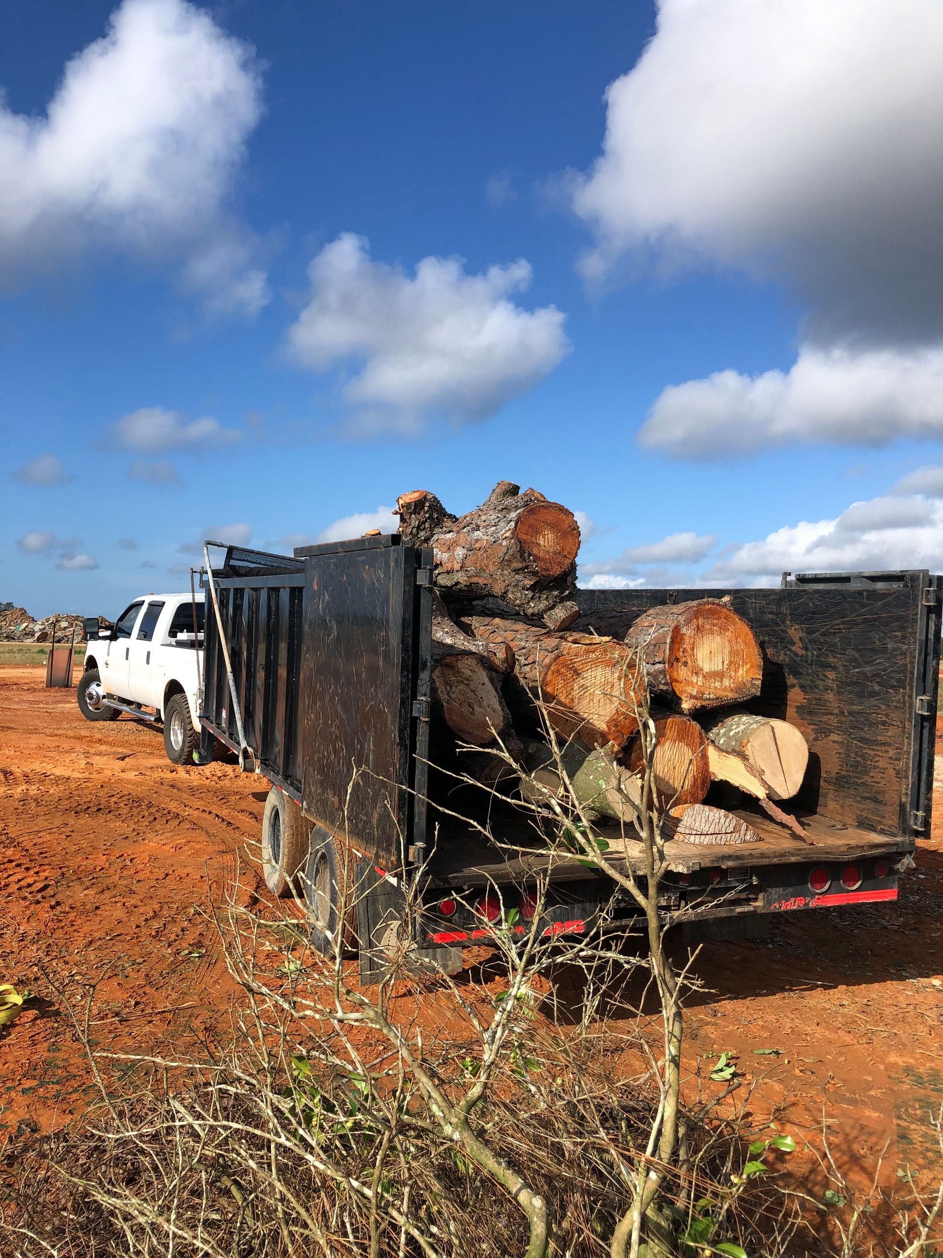 A truck is carrying logs in a trailer on a dirt road.
