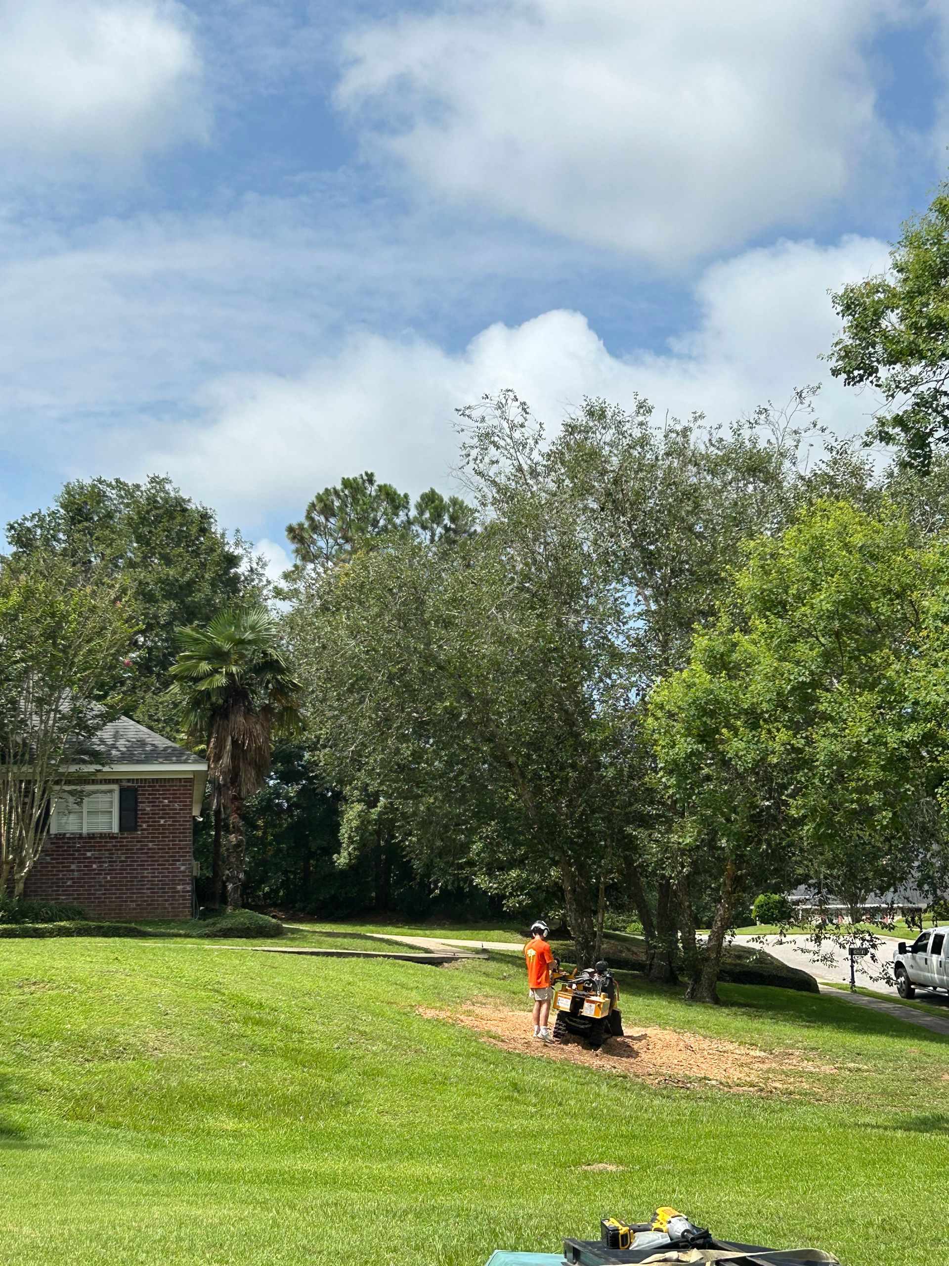 A person is sitting in the grass in a park.