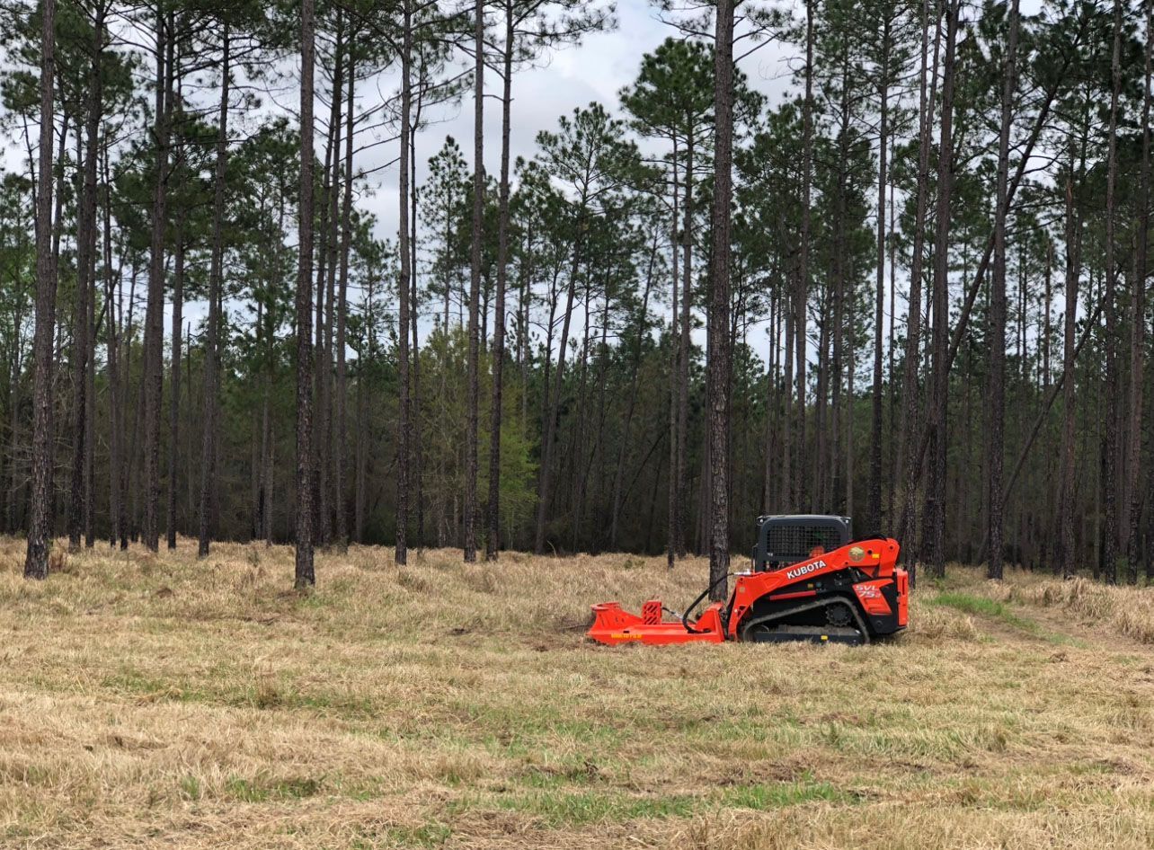 A tractor is cutting grass in a field with trees in the background.