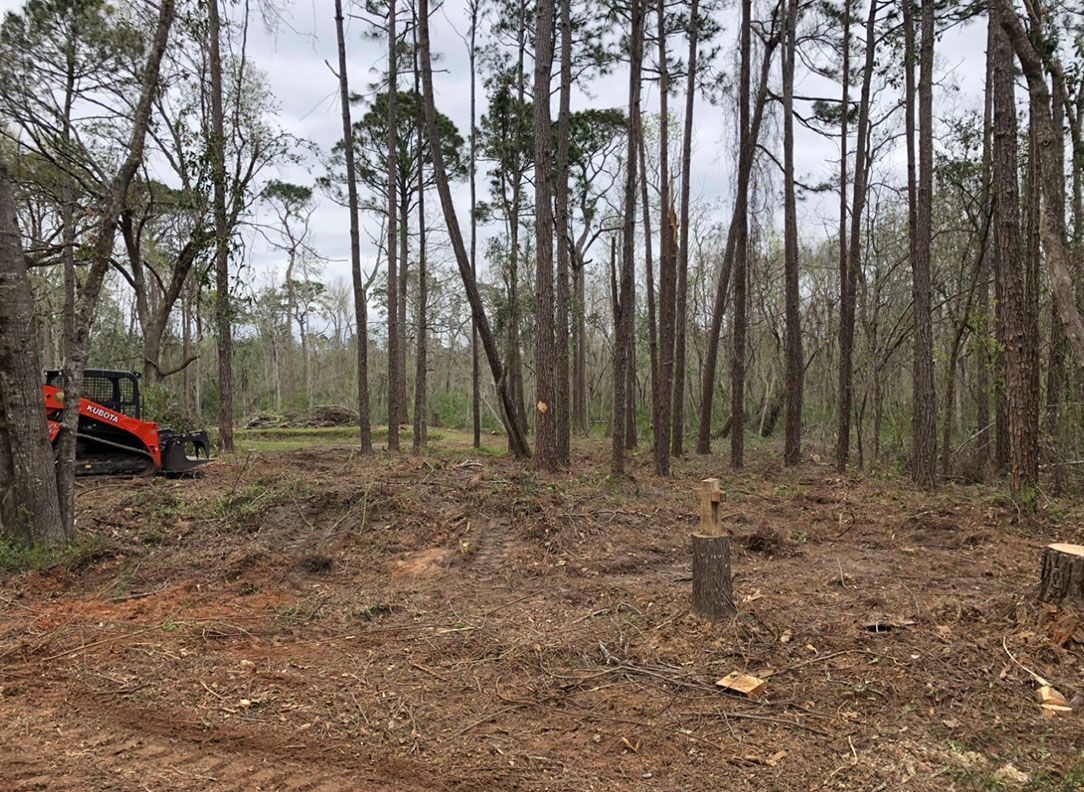 A tractor is cutting down trees in a forest.