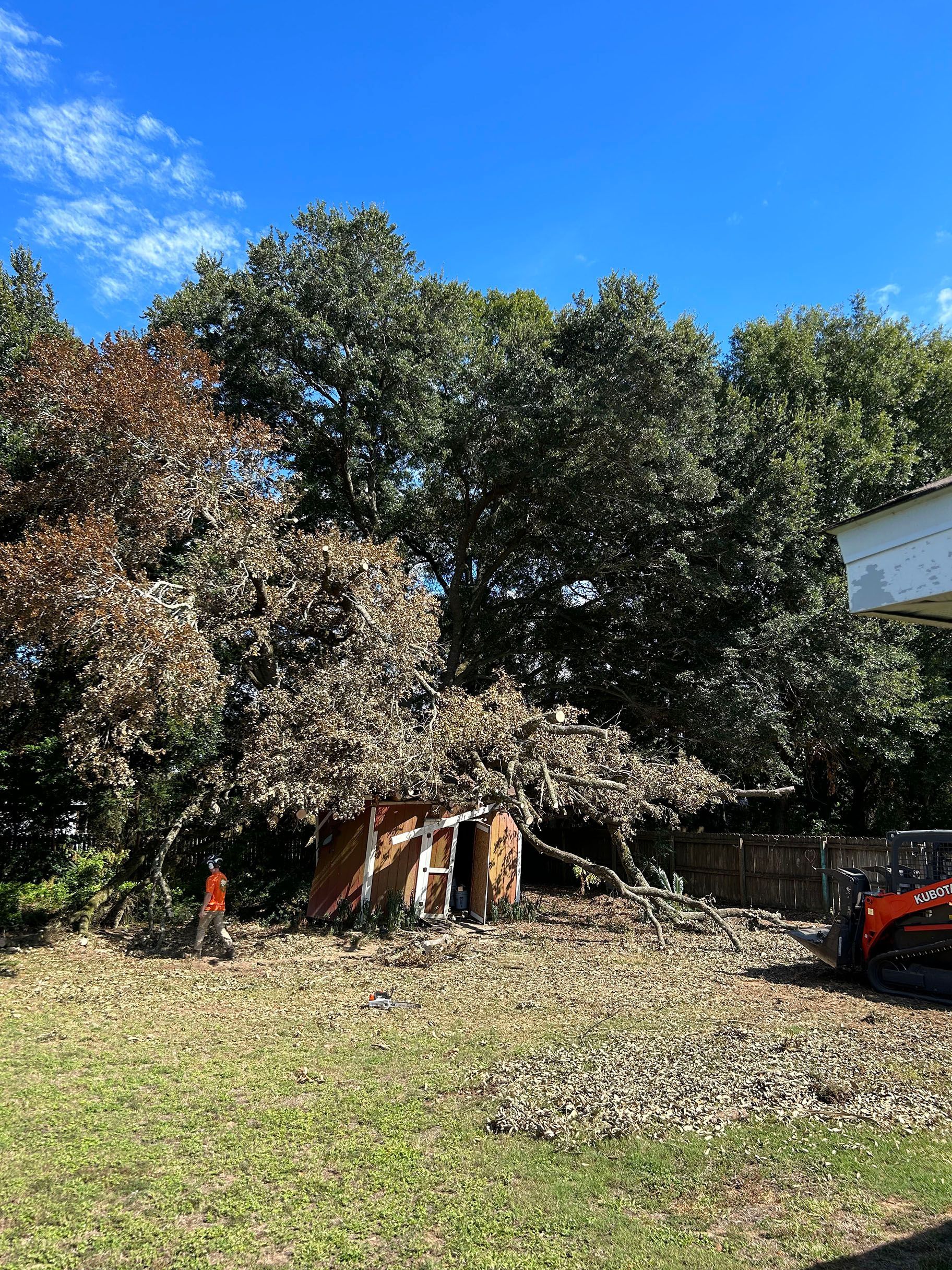 A house is being demolished in the middle of a field with trees in the background.