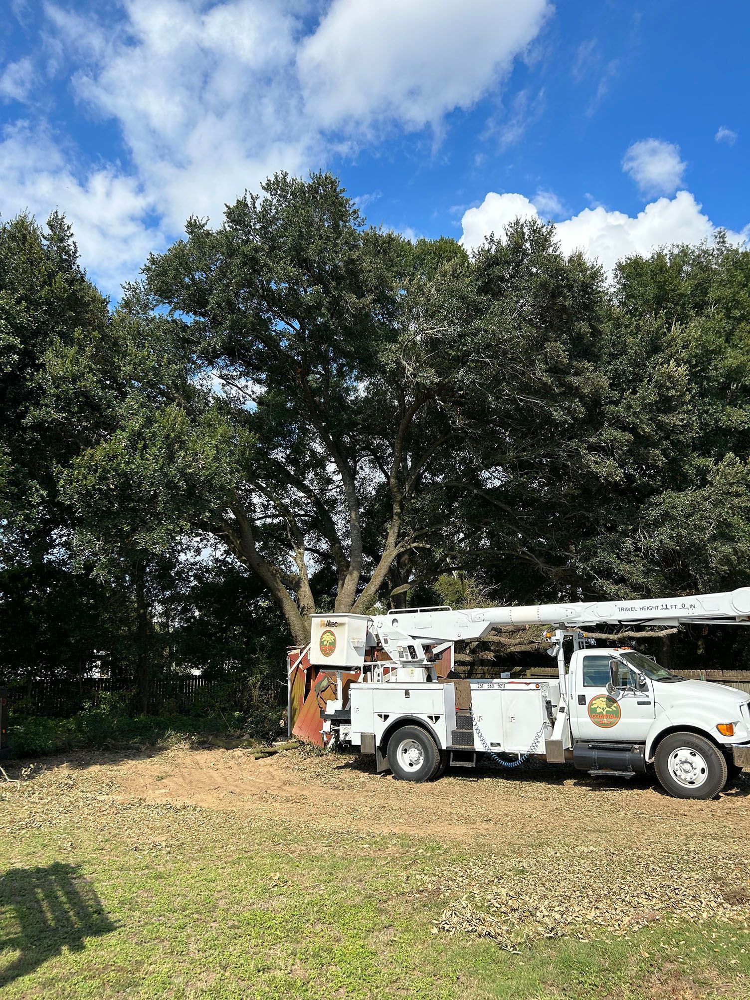 A white utility truck is parked in a field next to a tree.