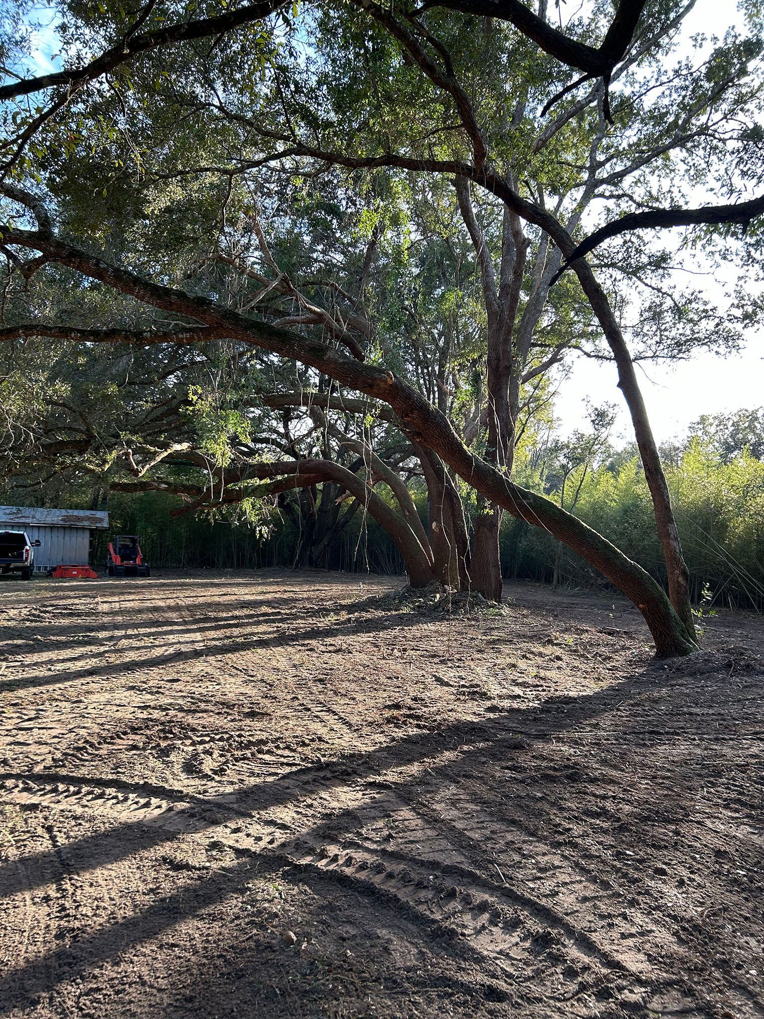 dirt field