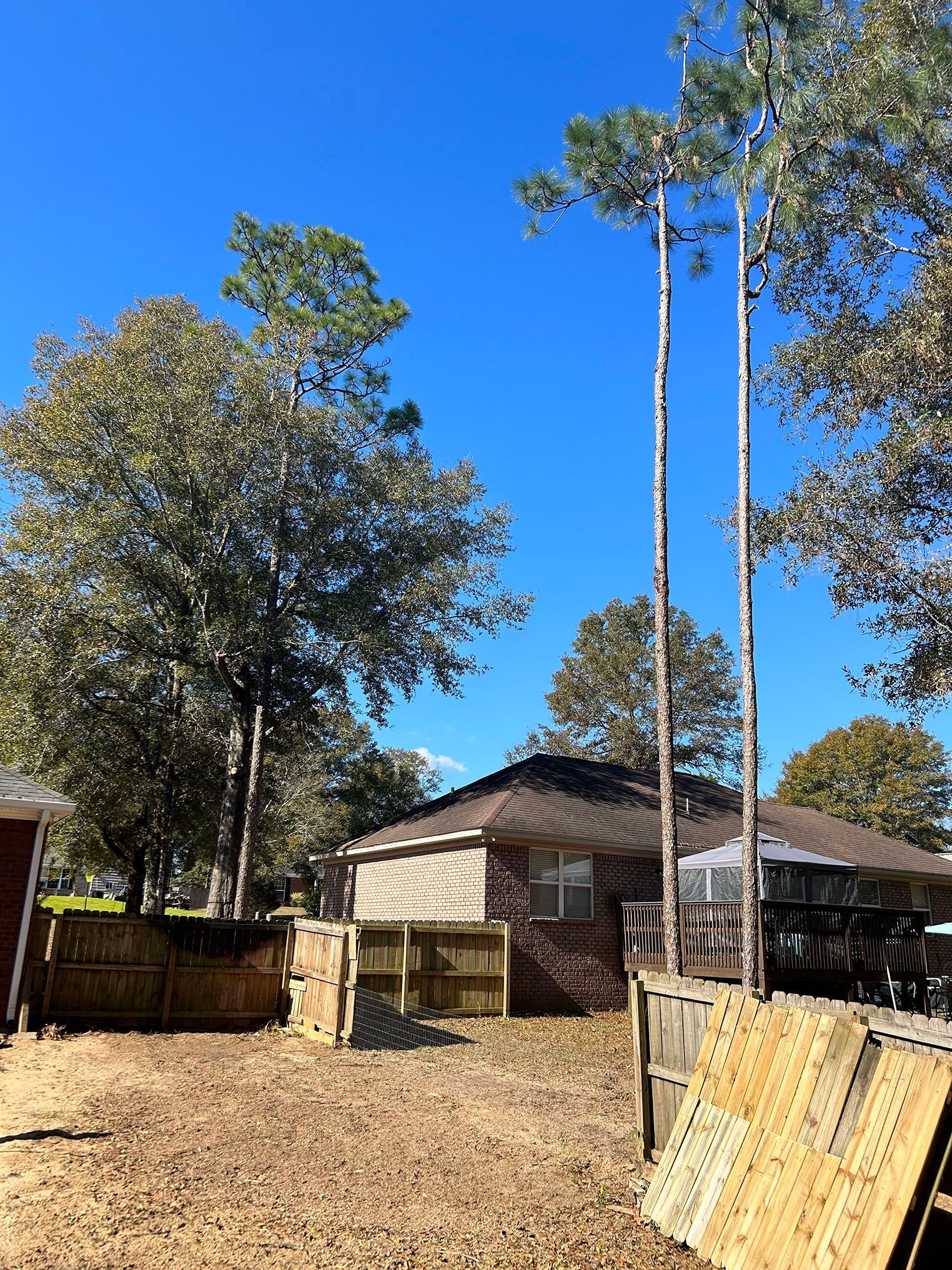 A house with a lot of trees in front of it