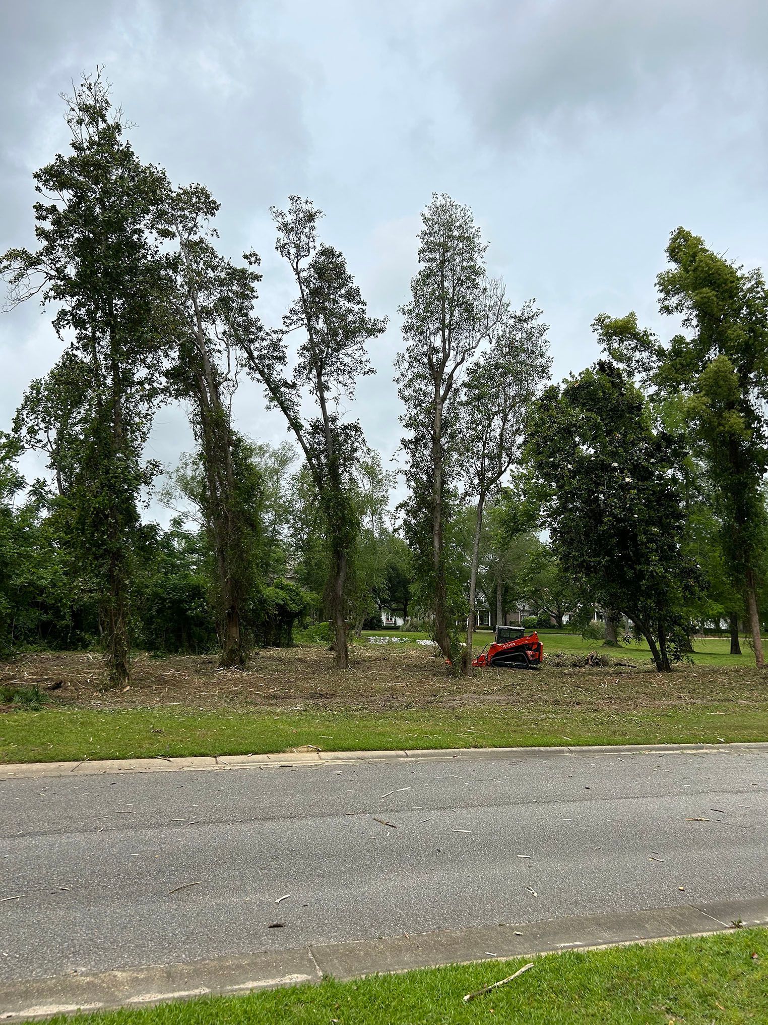 A red tractor is parked on the side of the road next to a row of trees