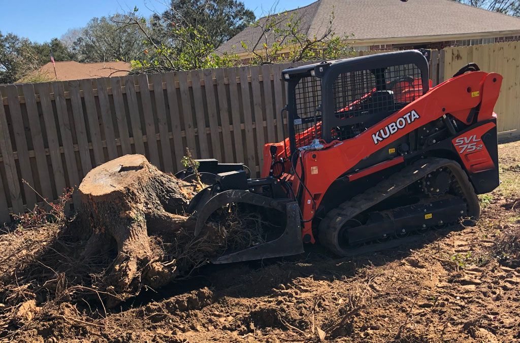 A large tree stump is being removed by a kubota skid steer.