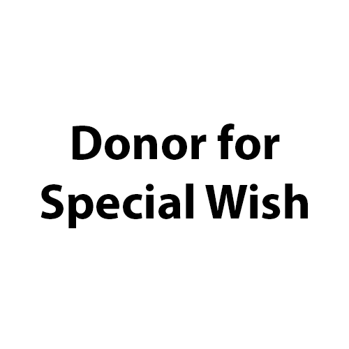Donor for Special Wish