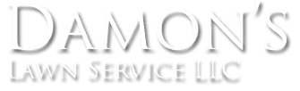 Damon's Lawn Service LLC