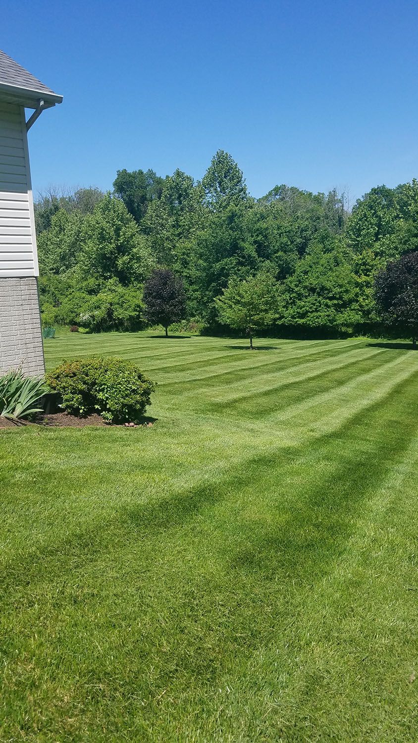 Carefully maintained lawn