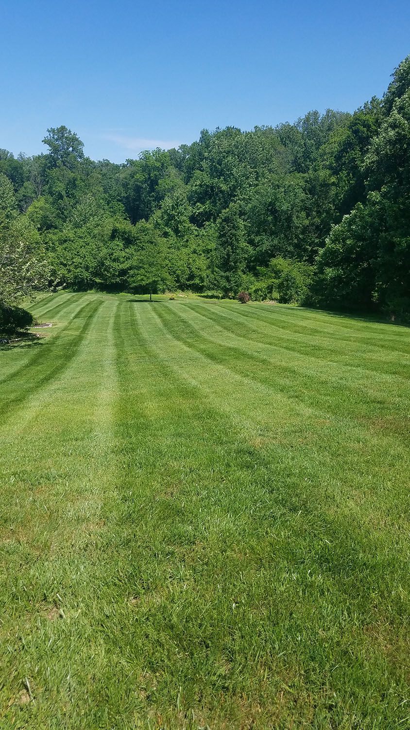 Wide empty space with carefully maintained lawn