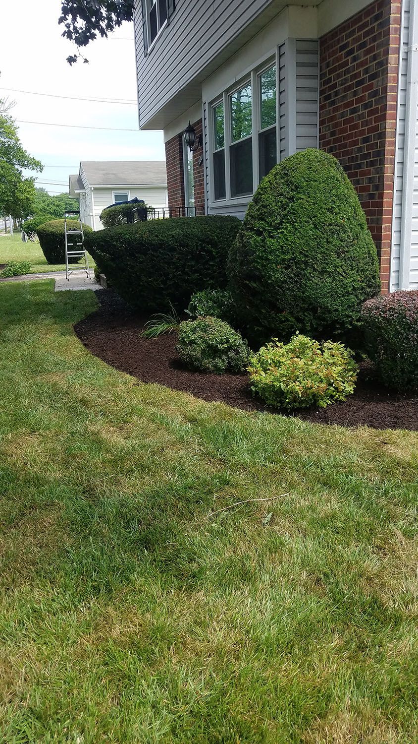 Backyard with a carefully maintained lawn