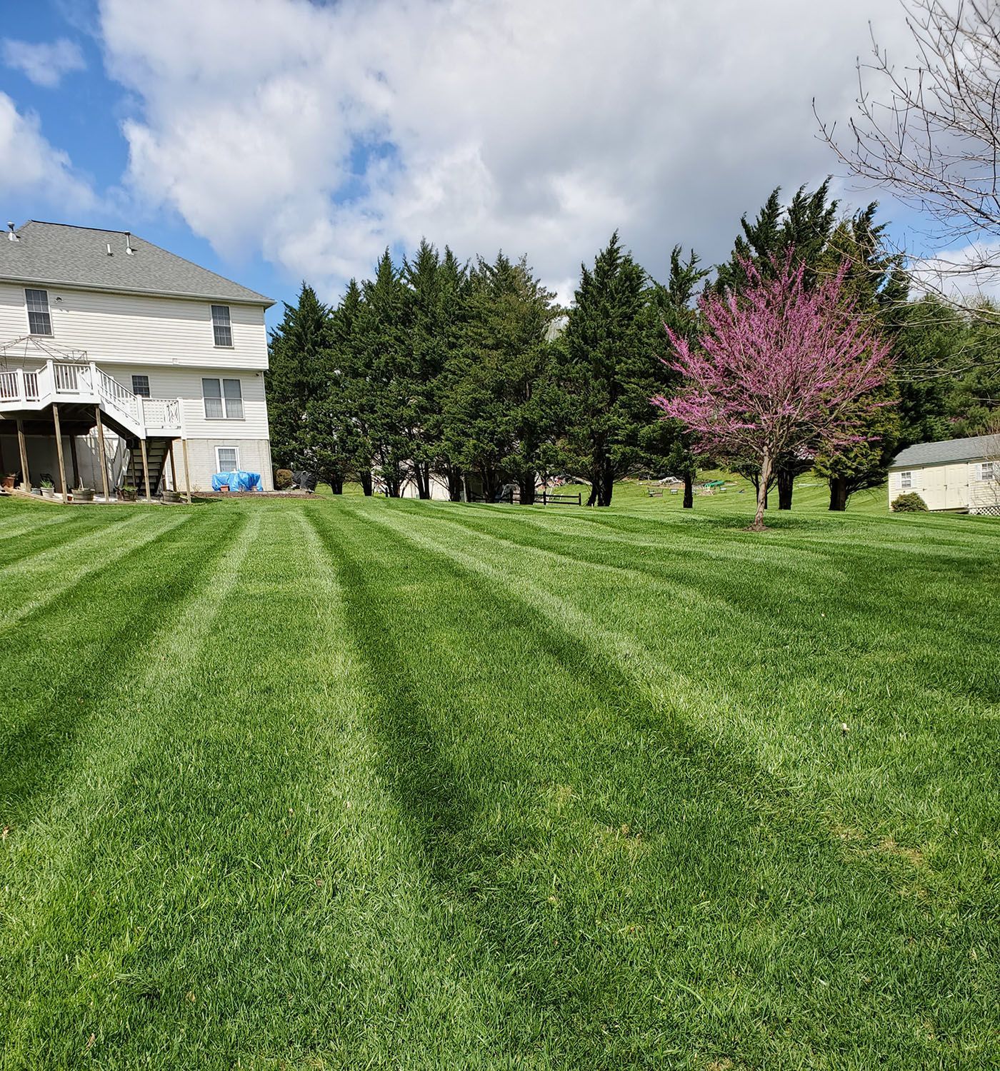 Wide backyard space with carefully maintained lawn