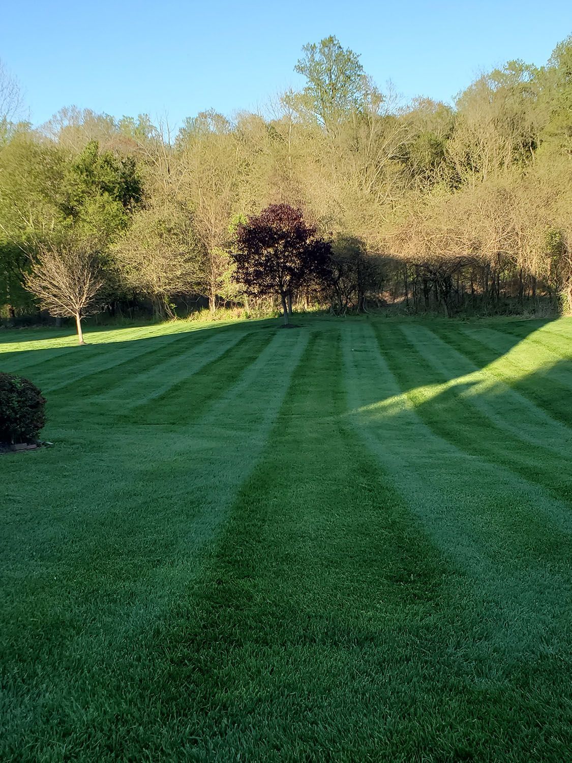 Wide empty space with a carefully maintained lawn