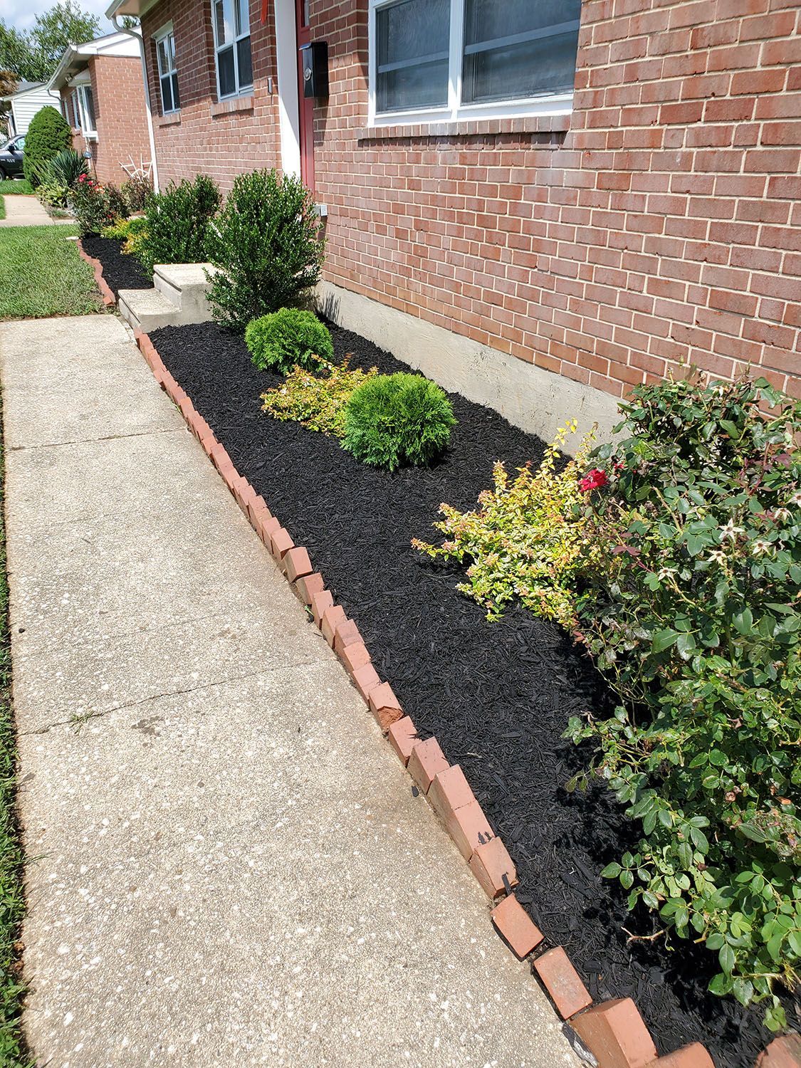 Plant décor of a house