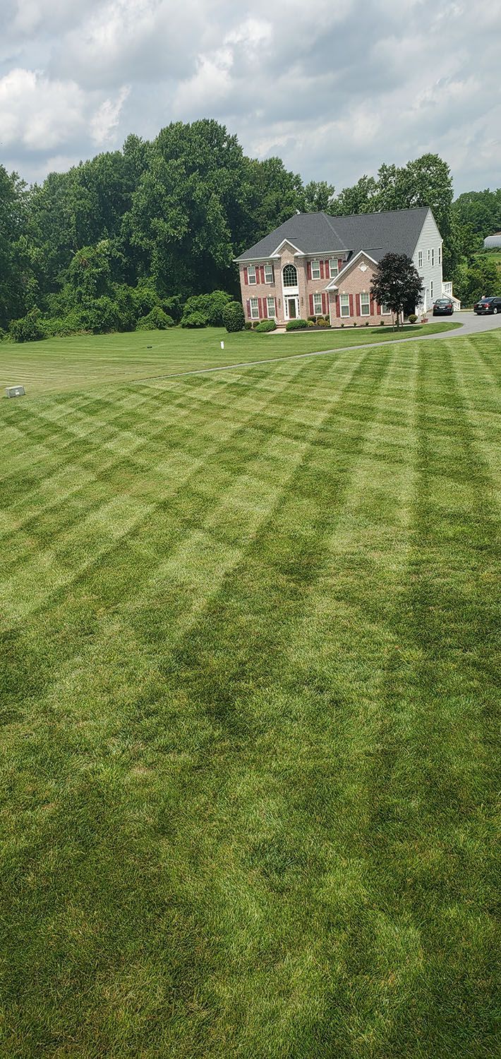 Front lawn with a beautiful lawn