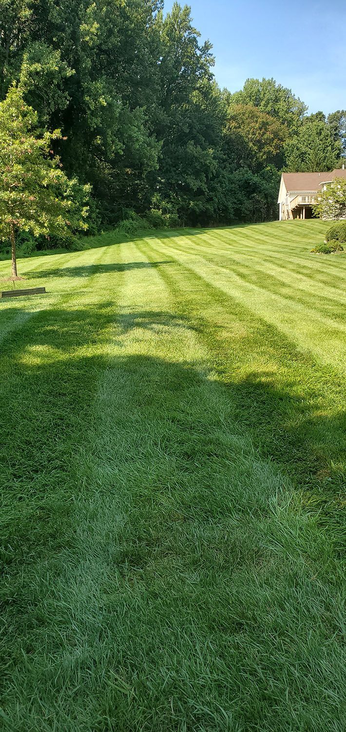 Front lawn with a beautiful lawn