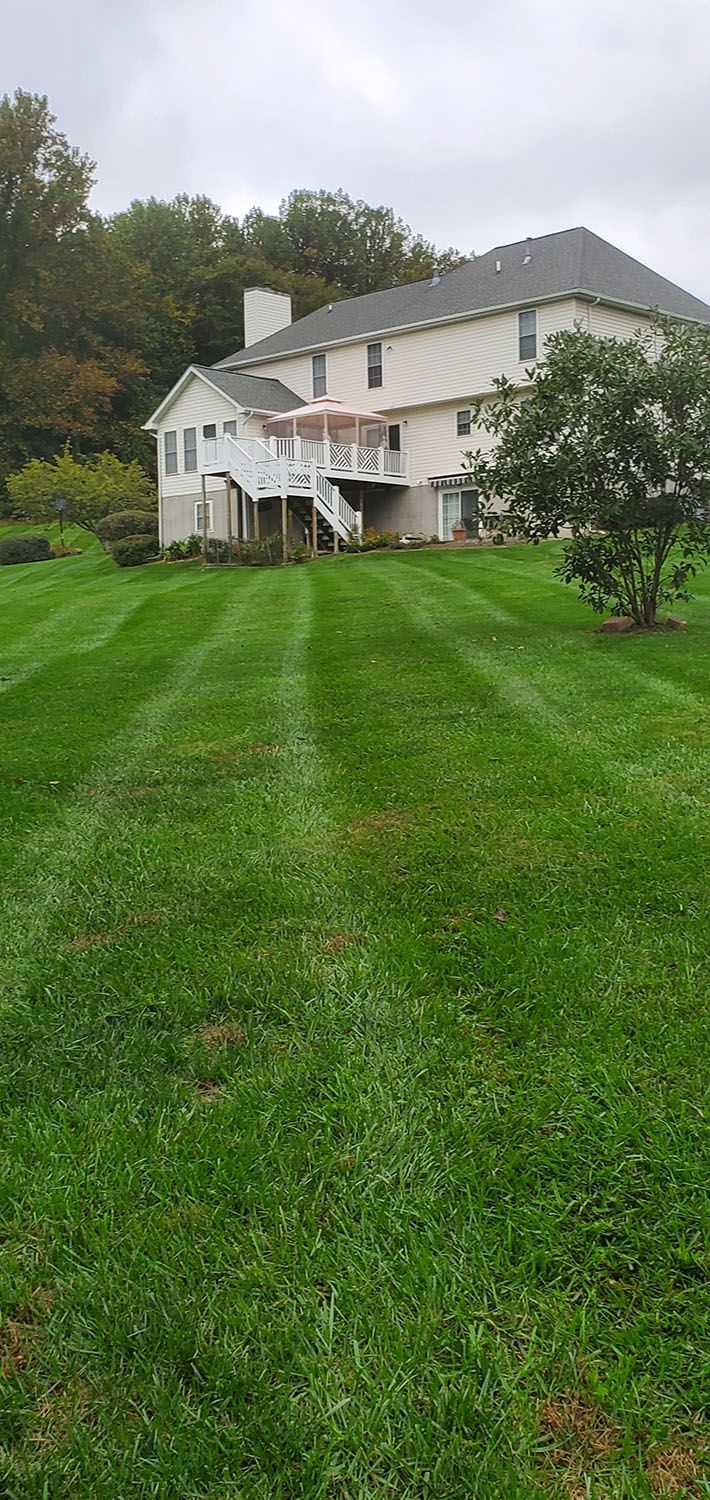 Front lawn with a carefully maintained lawn