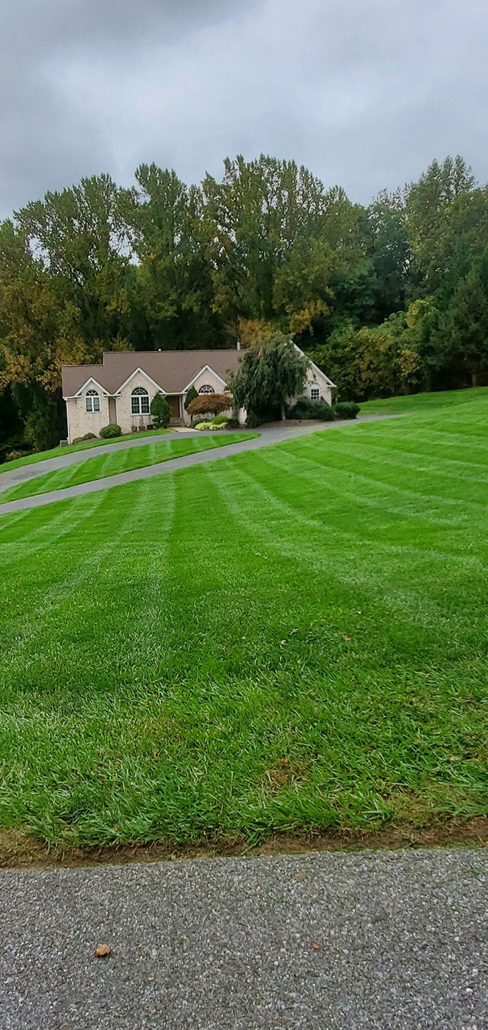 Front lawn with a beautiful lawn