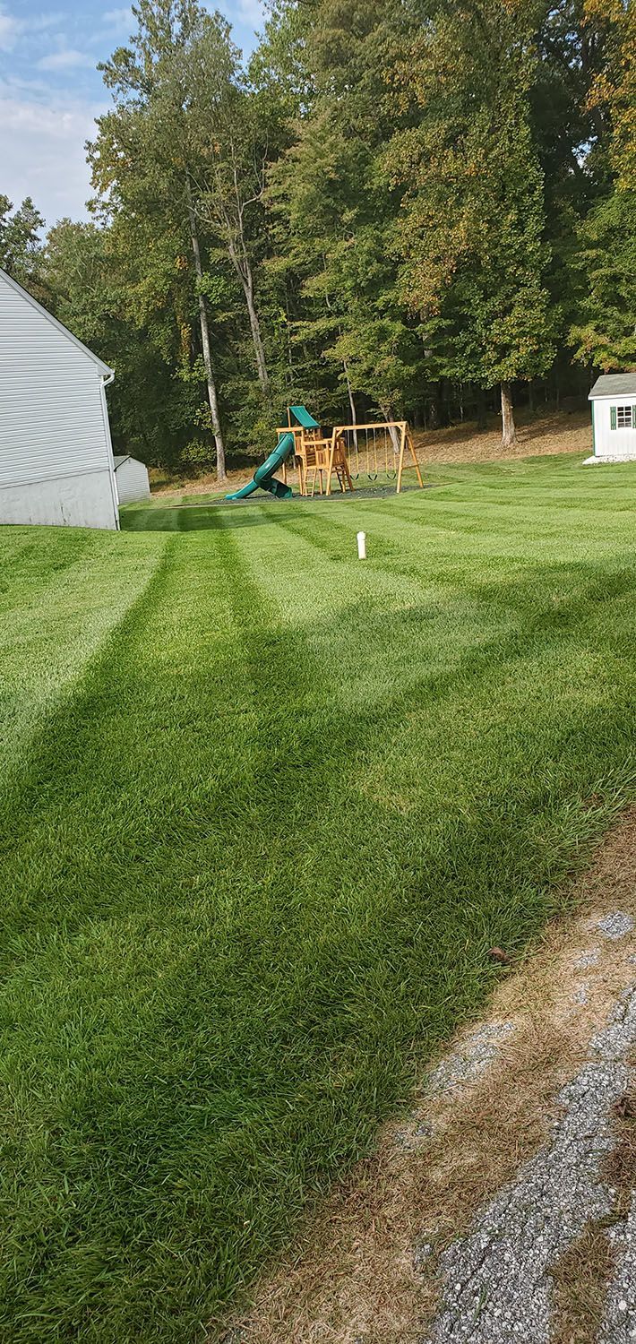 House with a spacious lawn