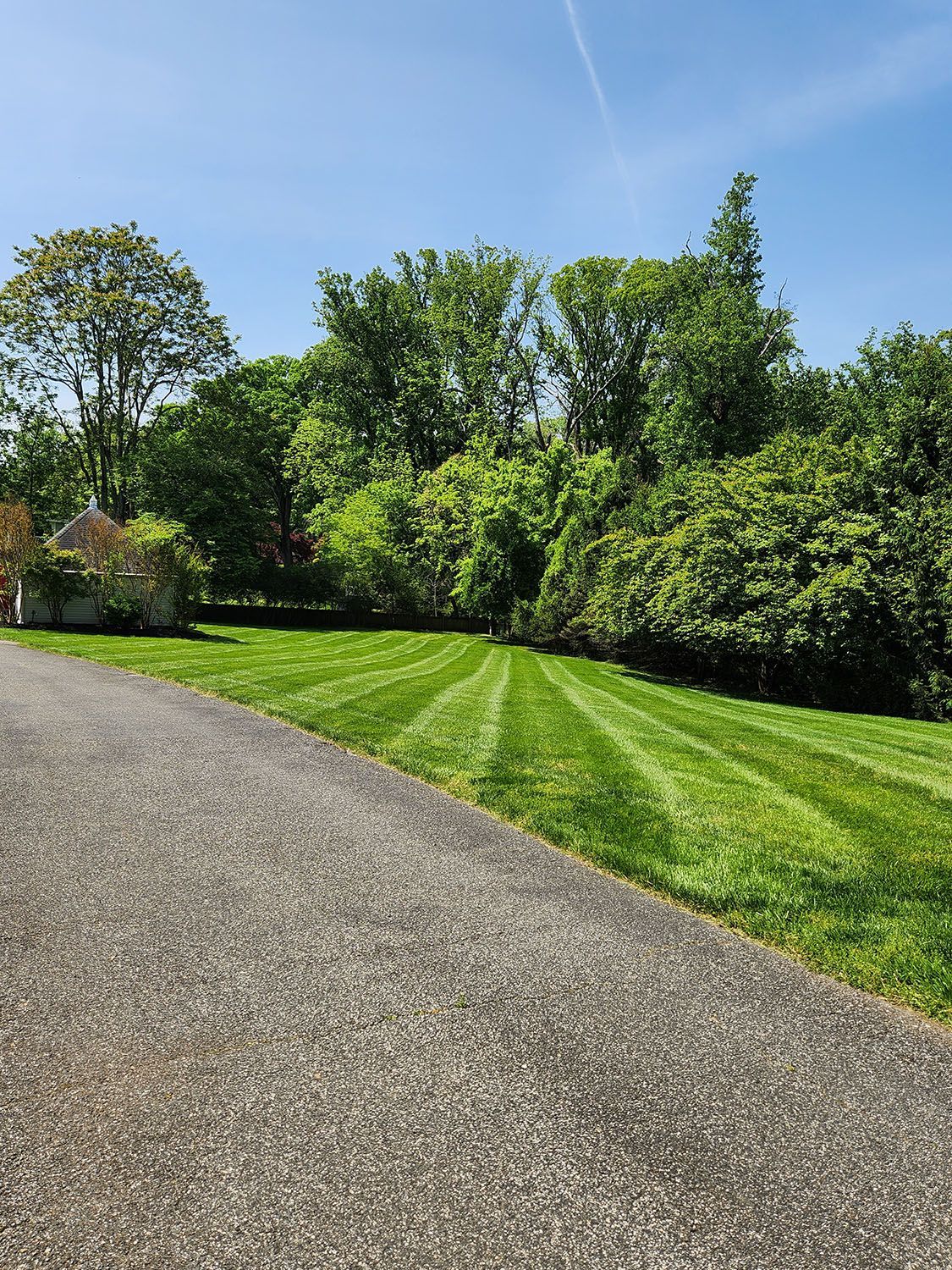 Well maintained lawn