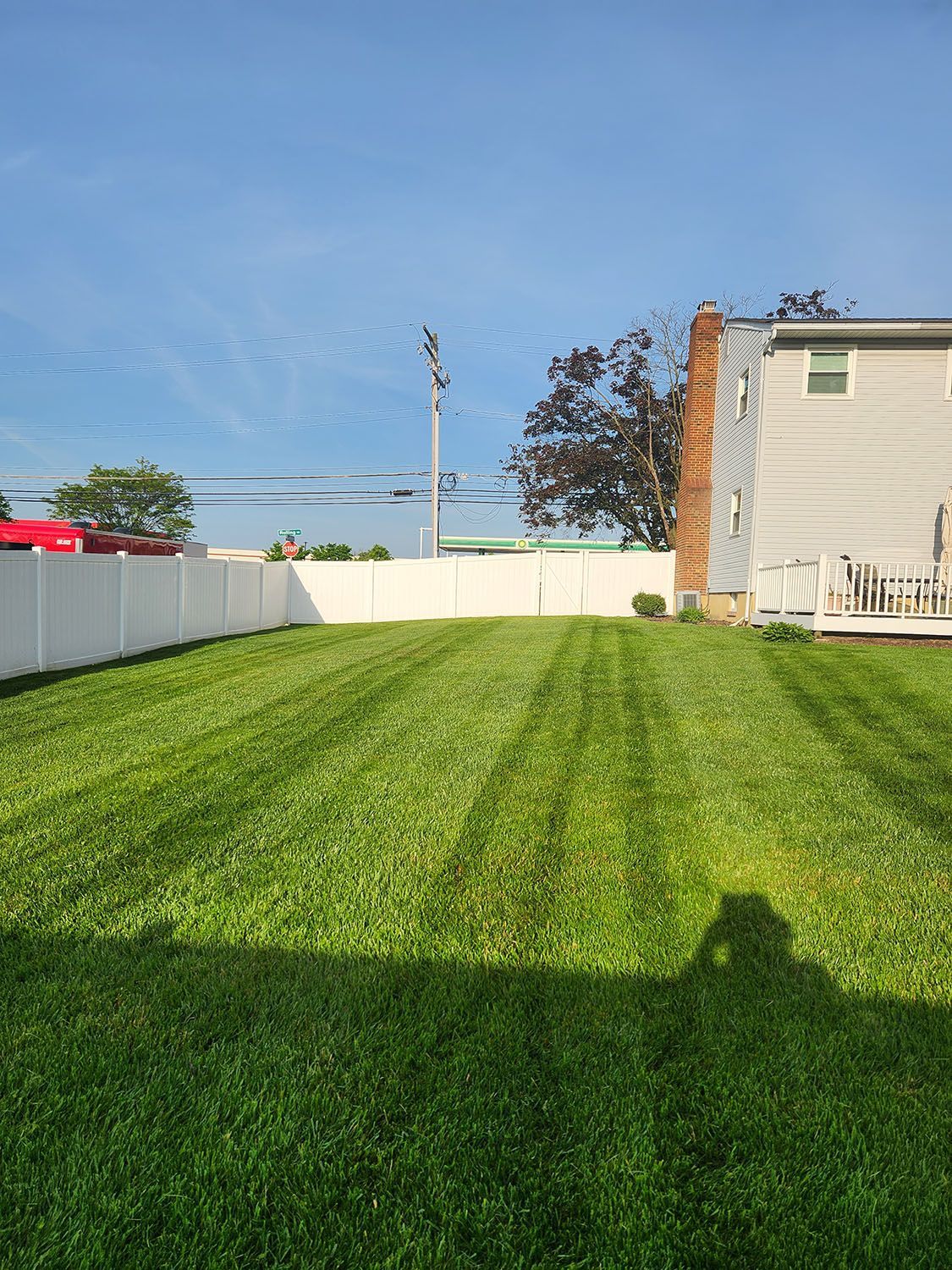 Beautiful backyard landscaping