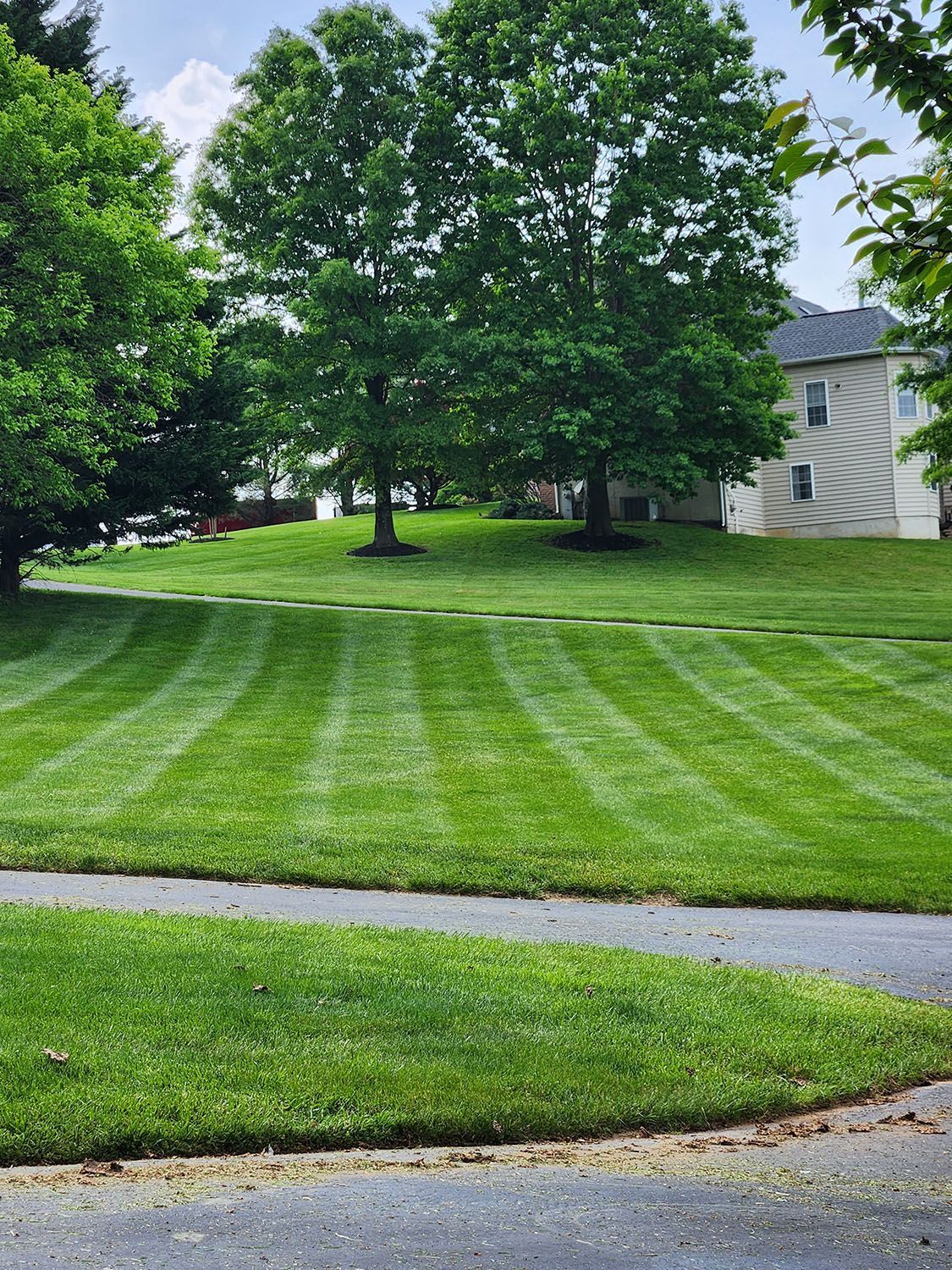 Well maintained lawn