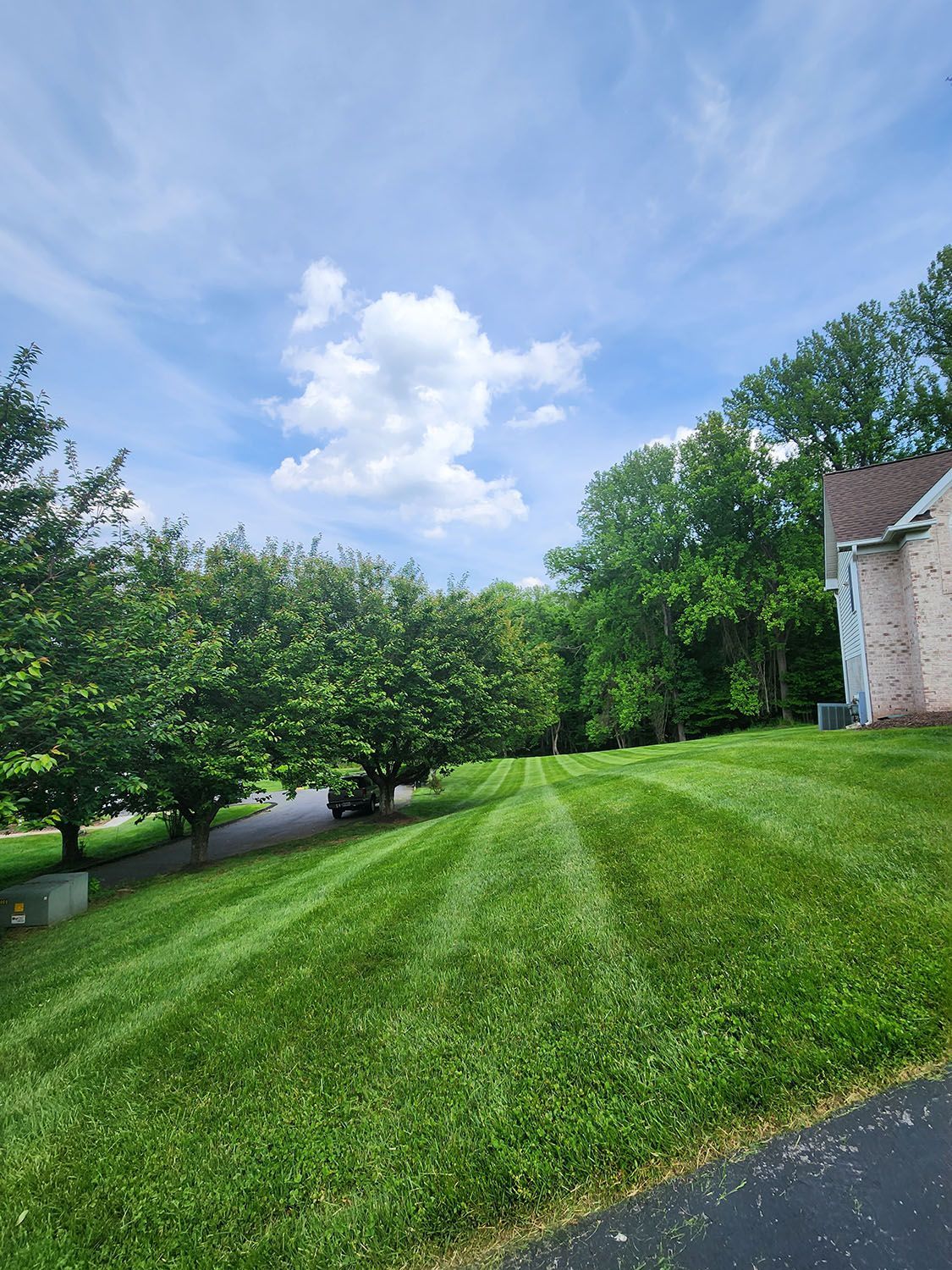 Beautiful backyard landscaping